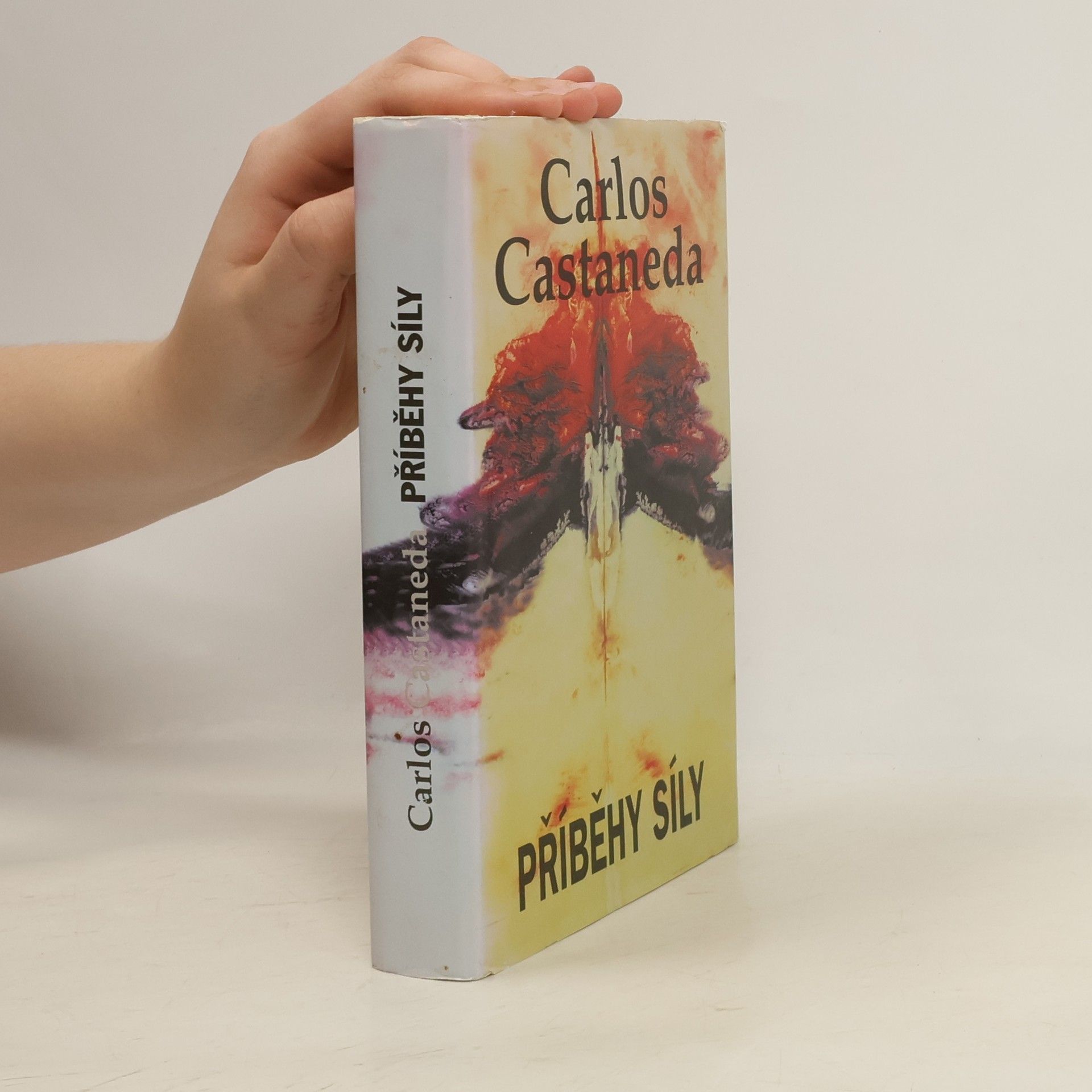 Carlos Castaneda Příběhy síly