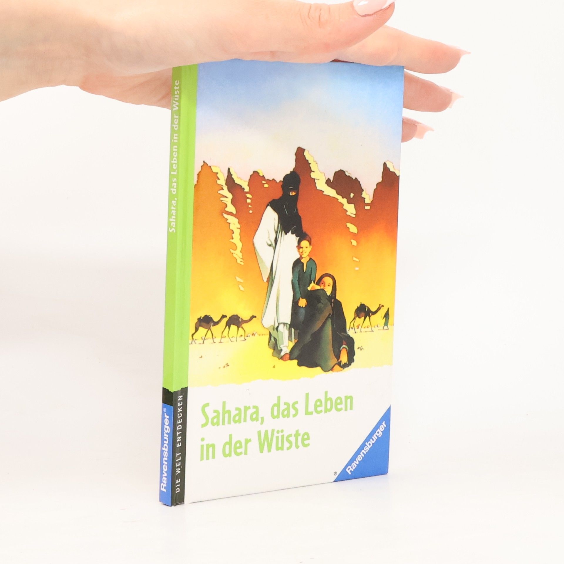 Laurence Ottenheimer Maquet Sahara