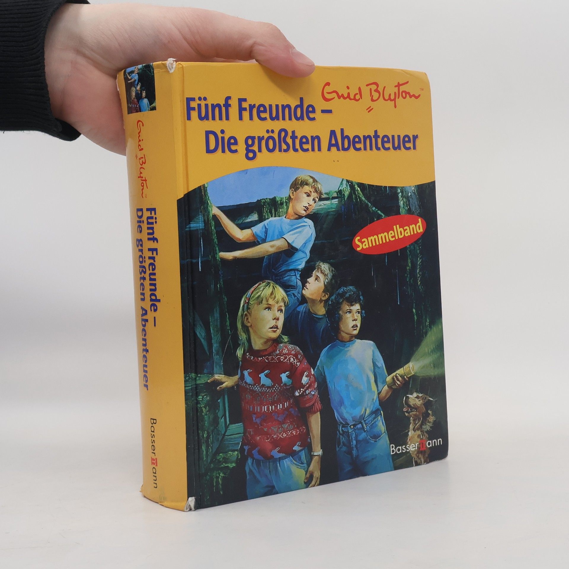 Enid Blyton Fünf Freunde - die größten Abenteuer