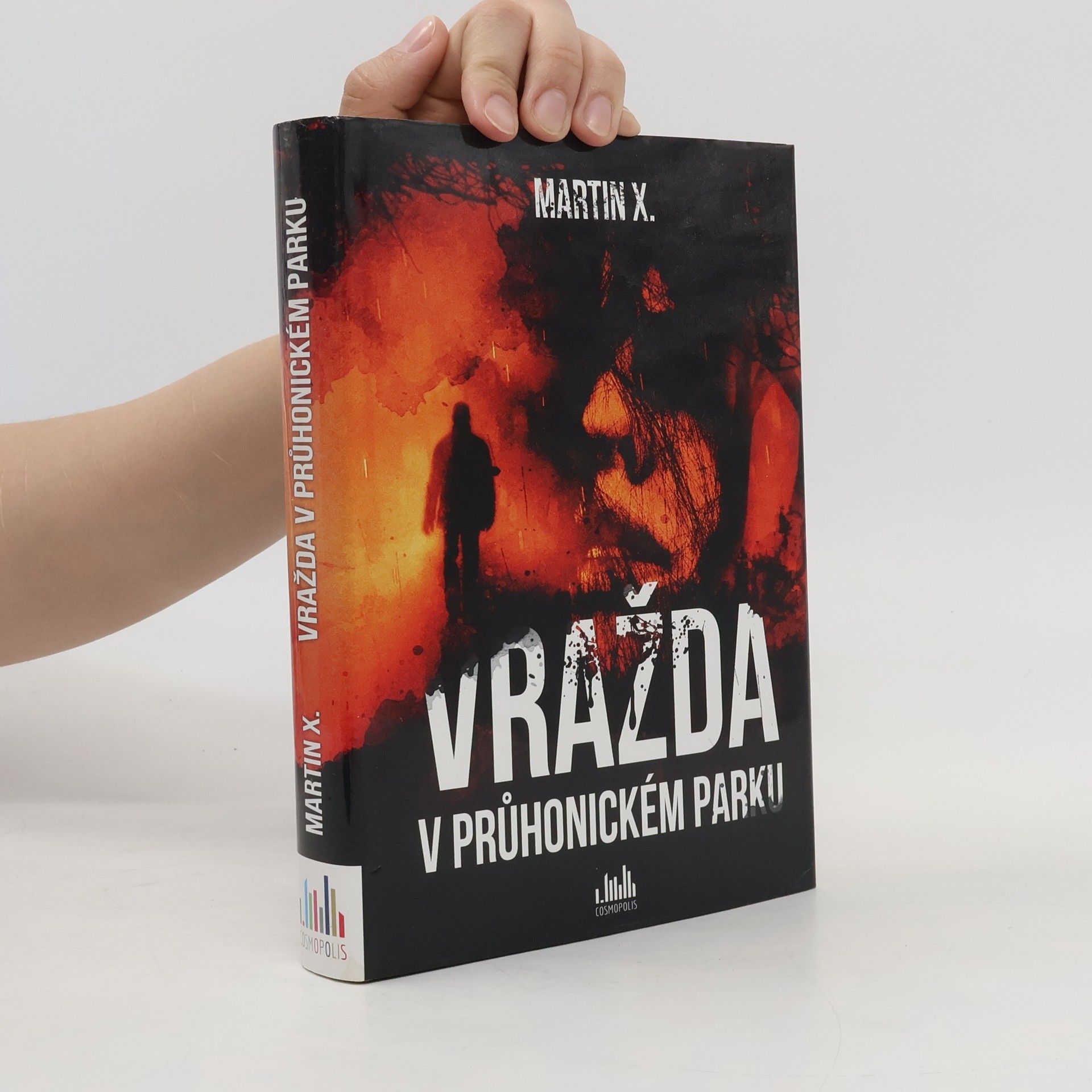 Martin X Vražda v průhonickém parku