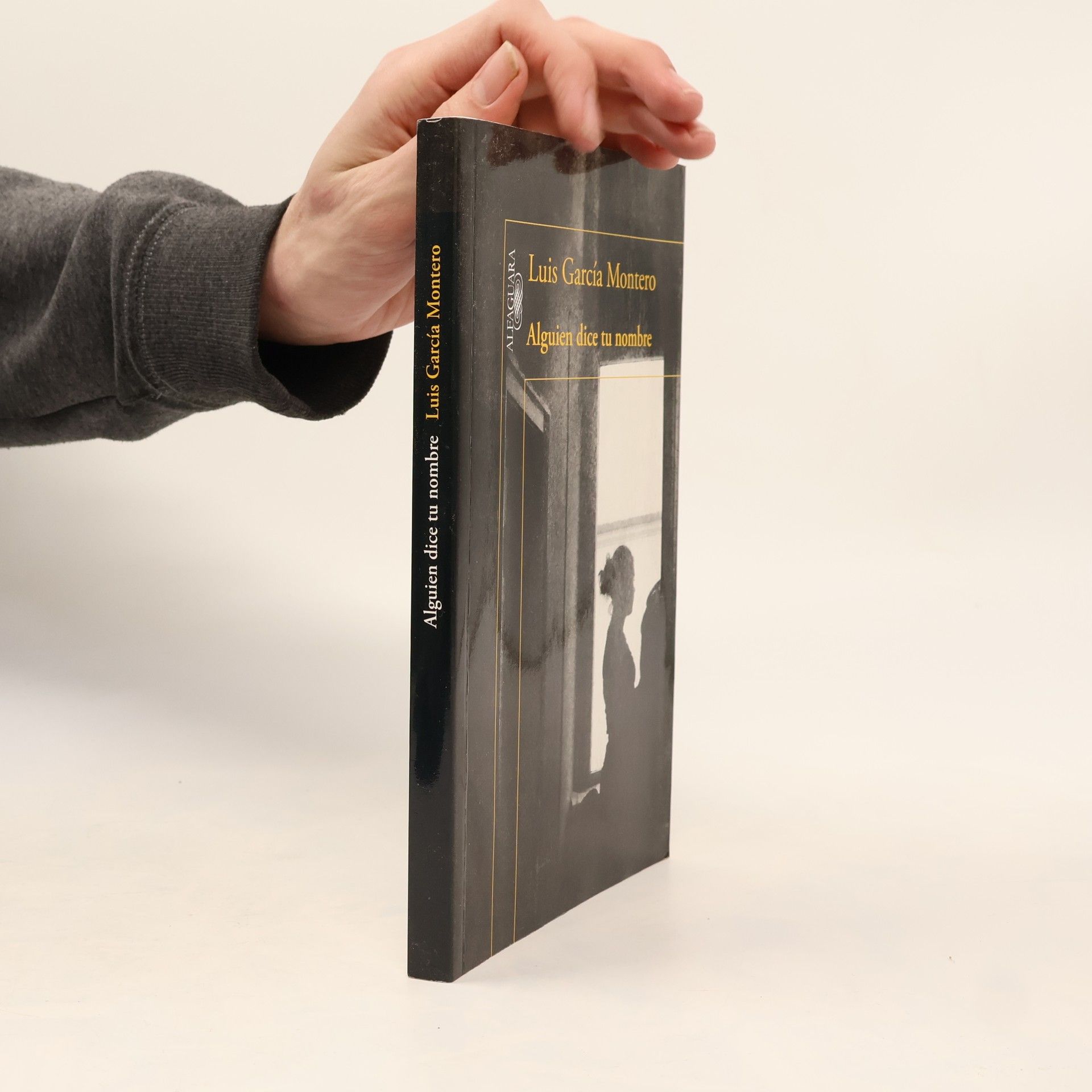 Luis Garcia Montero Alguien dice tu nombre