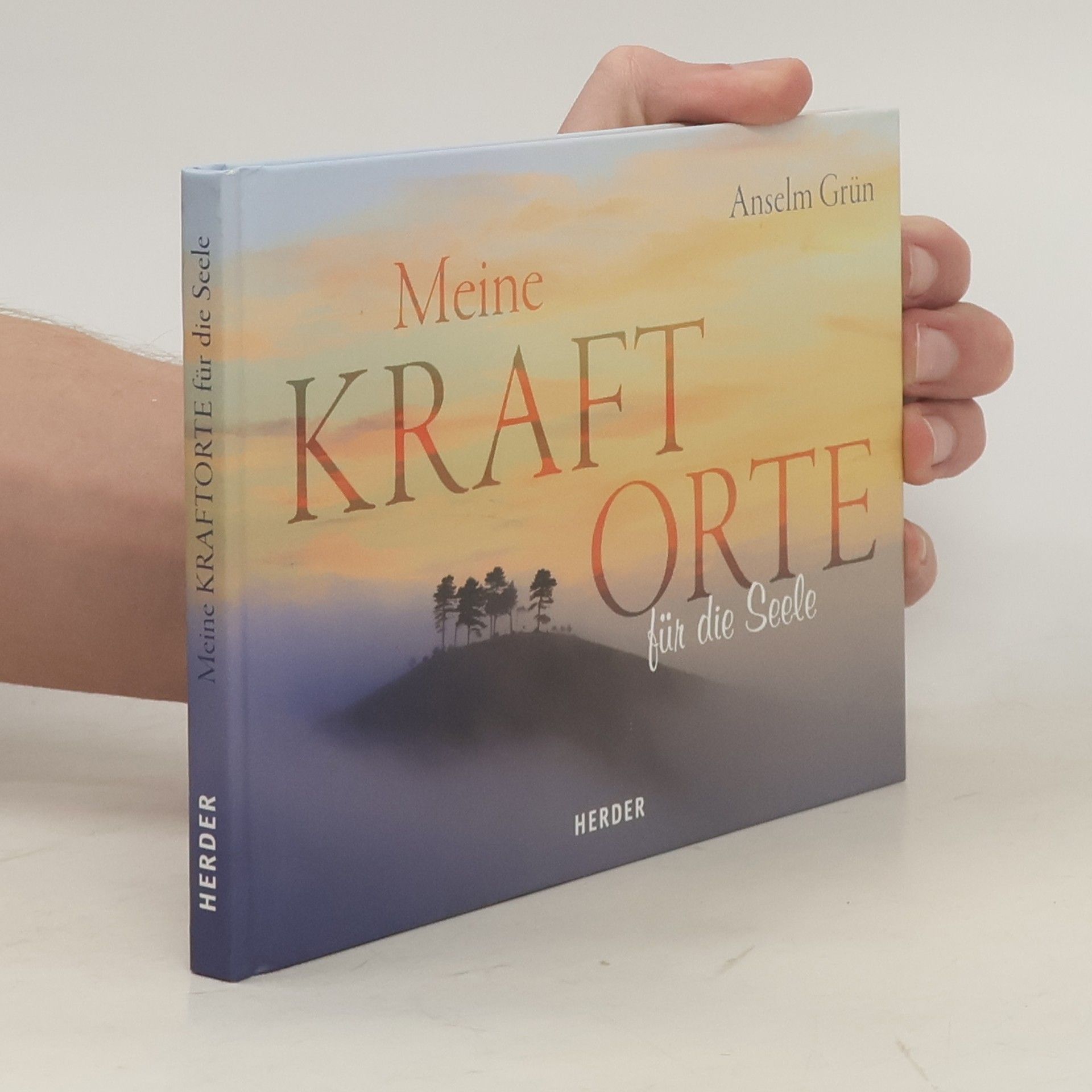 Anselm Grün Meine Kraftorte für die Seele