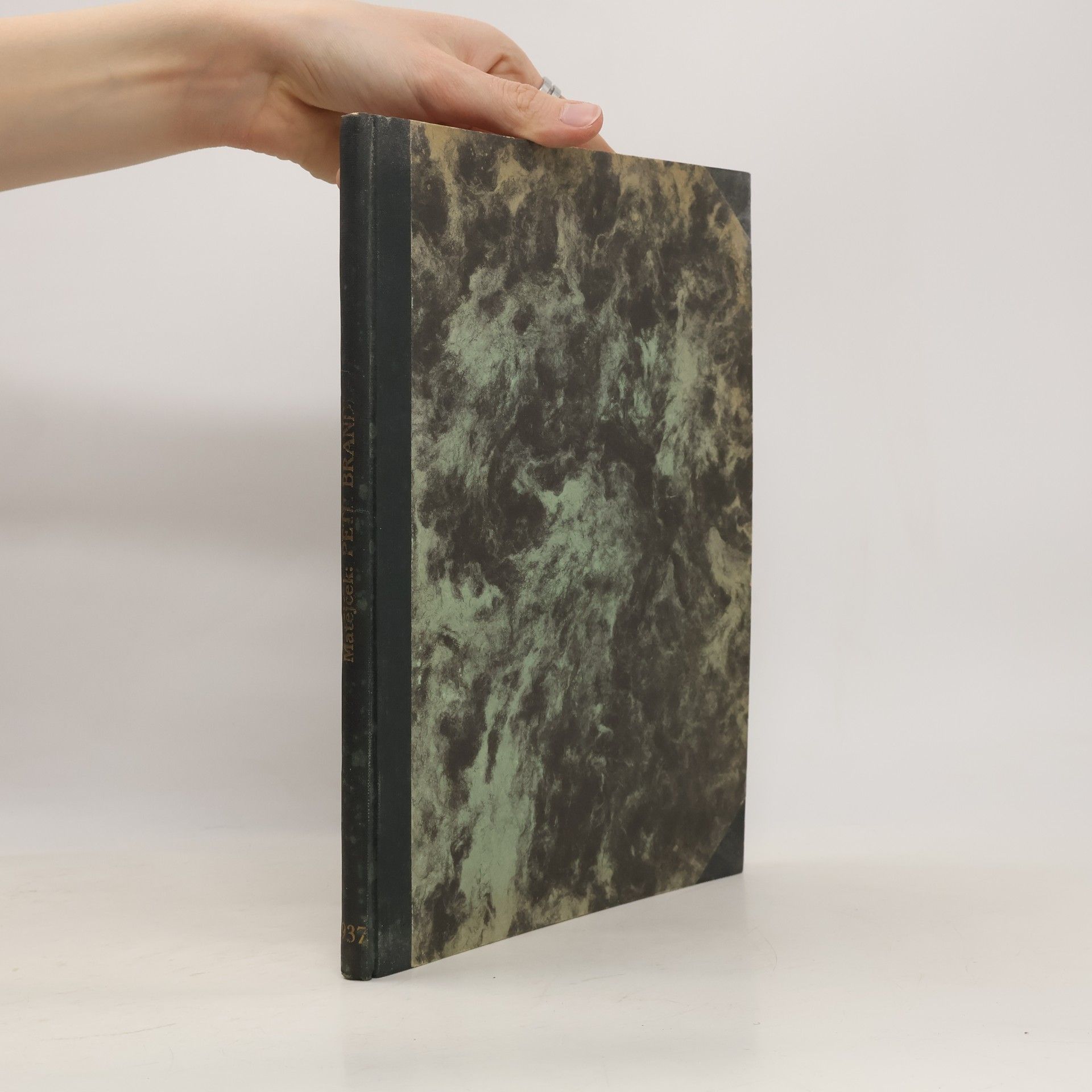 Matějček A. Petr Brandl