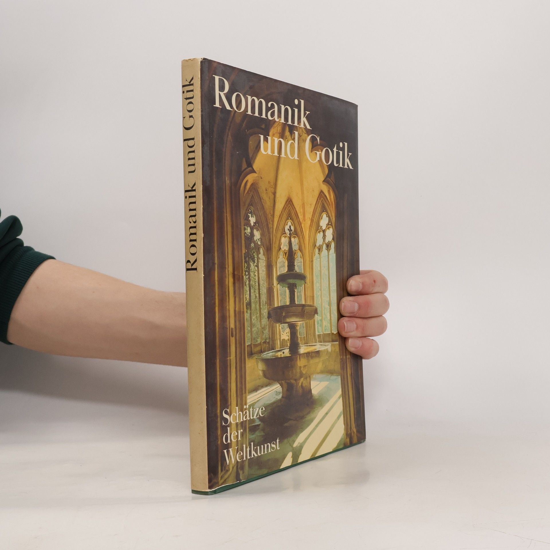 Kolektiv autorů Romanik und Gotik