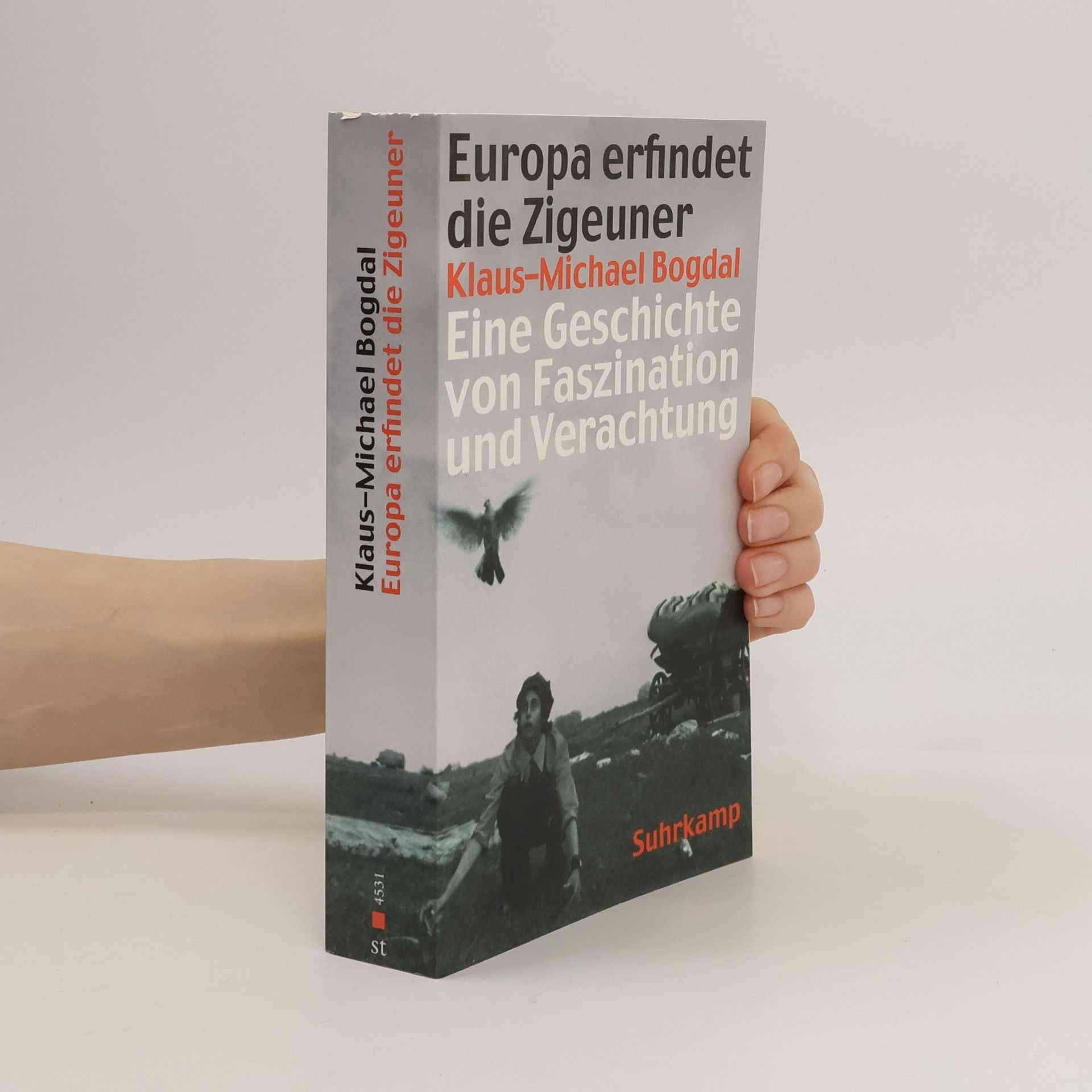 Klaus Michael Bogdal Europa erfindet die Zigeuner