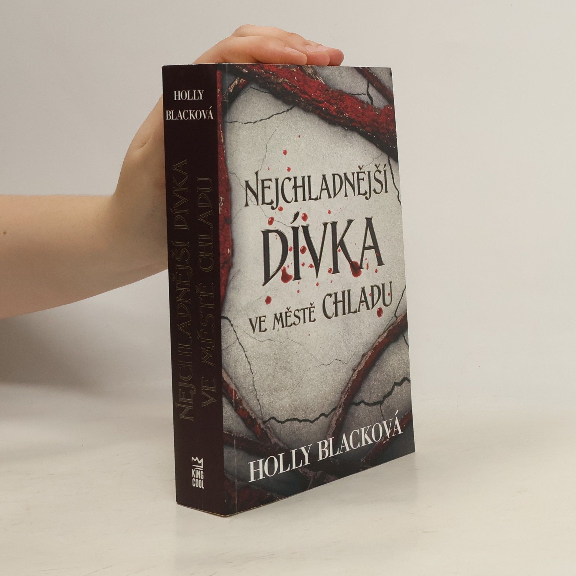 Holly Black Nejchladnější dívka ve městě chladu