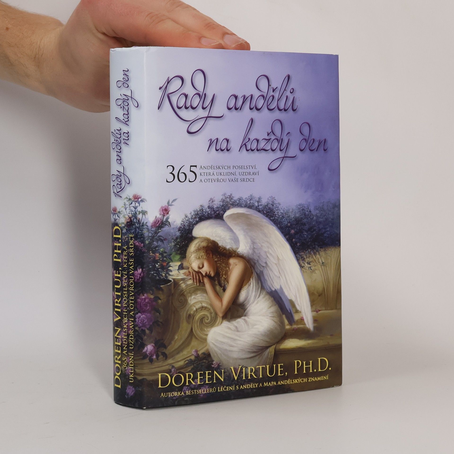 Doreen Virtue Rady andělů na každý den