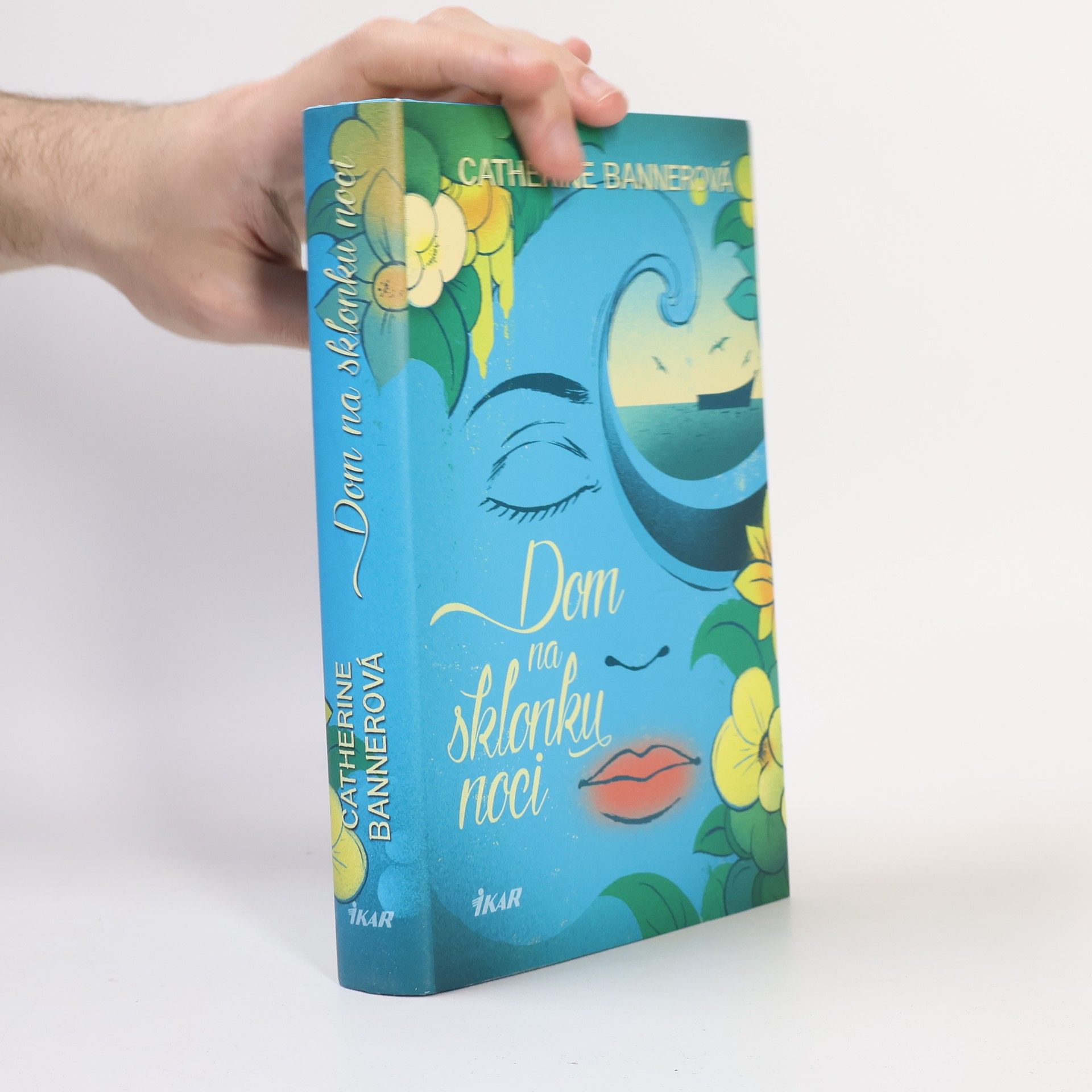 Catherine Banner Dom na sklonku noci