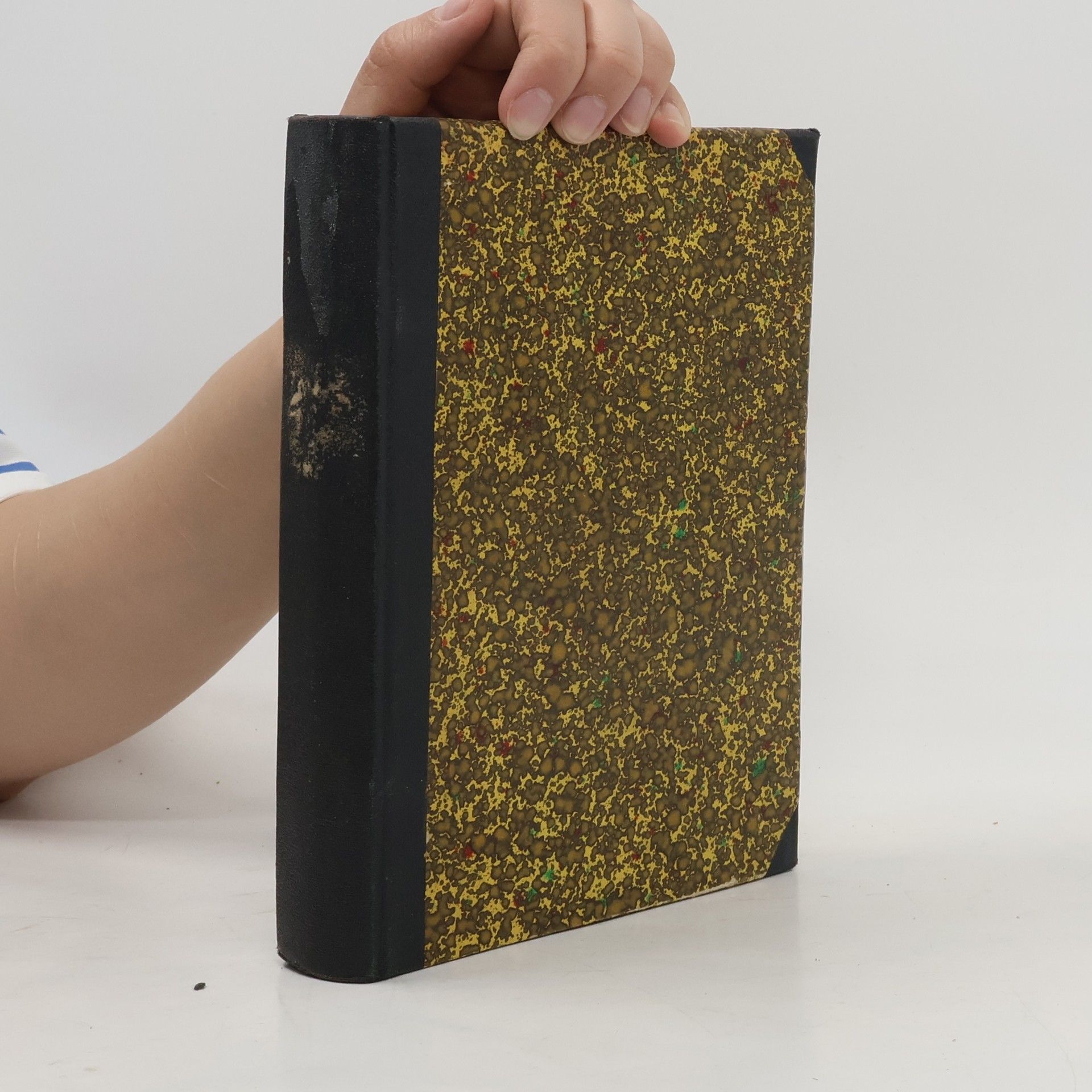 Antonín Šorm V záři vánočního stromku