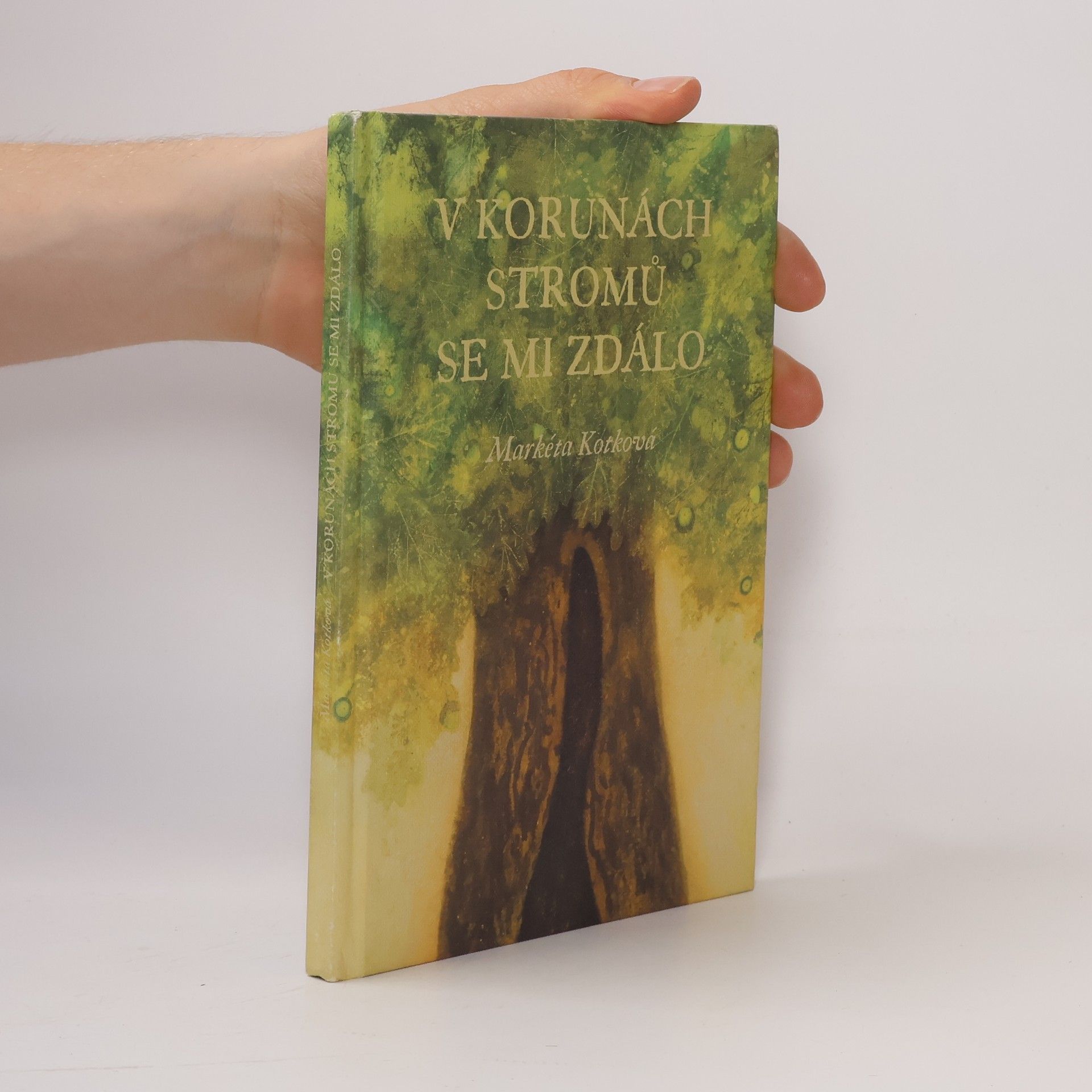 V korunách stromů se mi zdálo