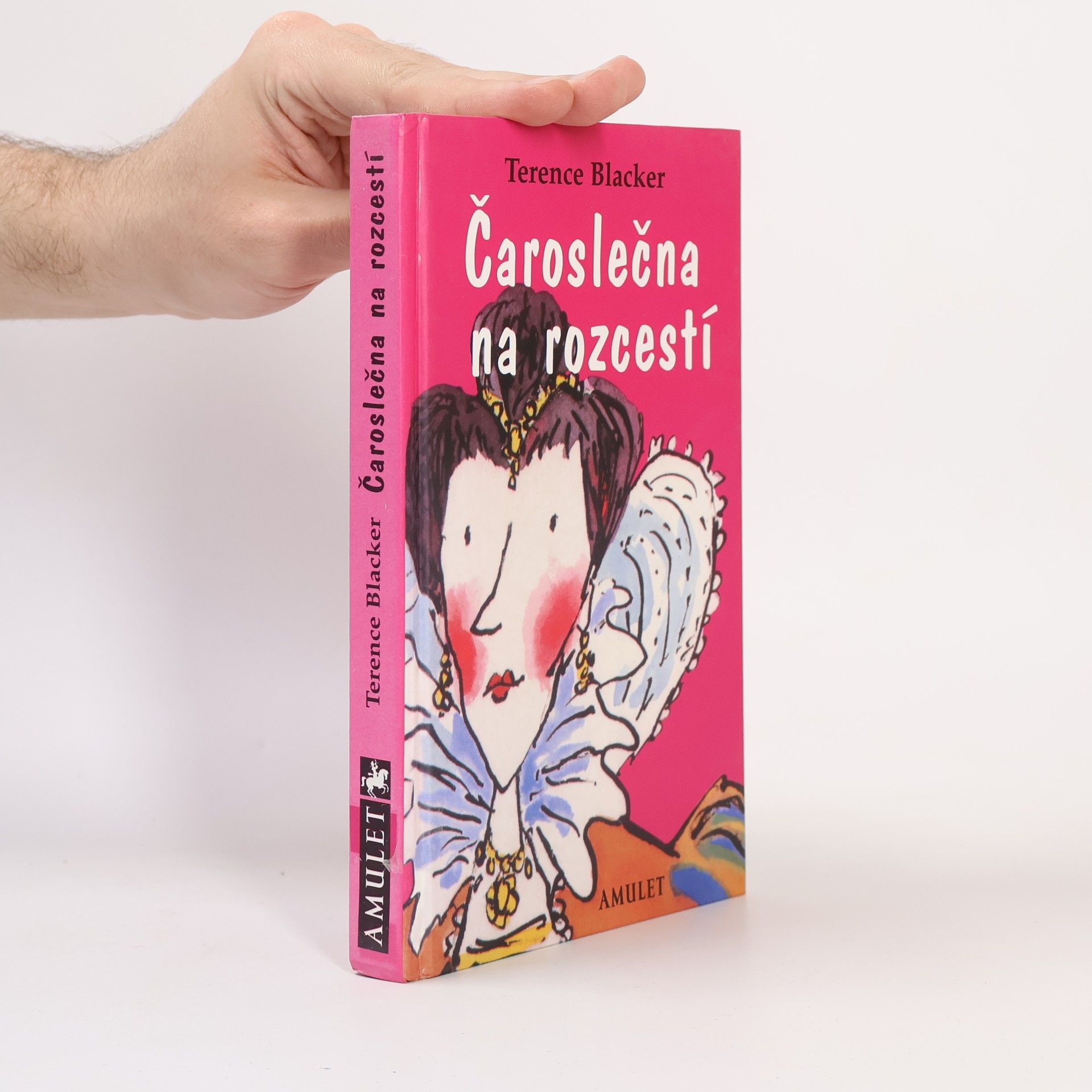 Terence Blacker Čaroslečna na rozcestí