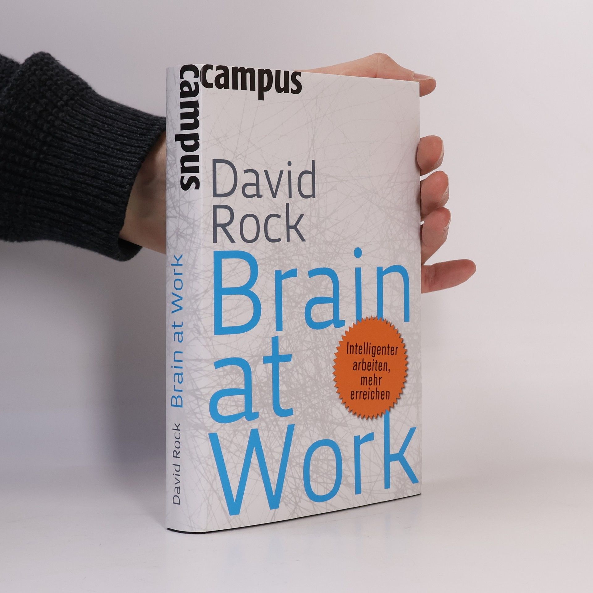 David Rock Brain at Work