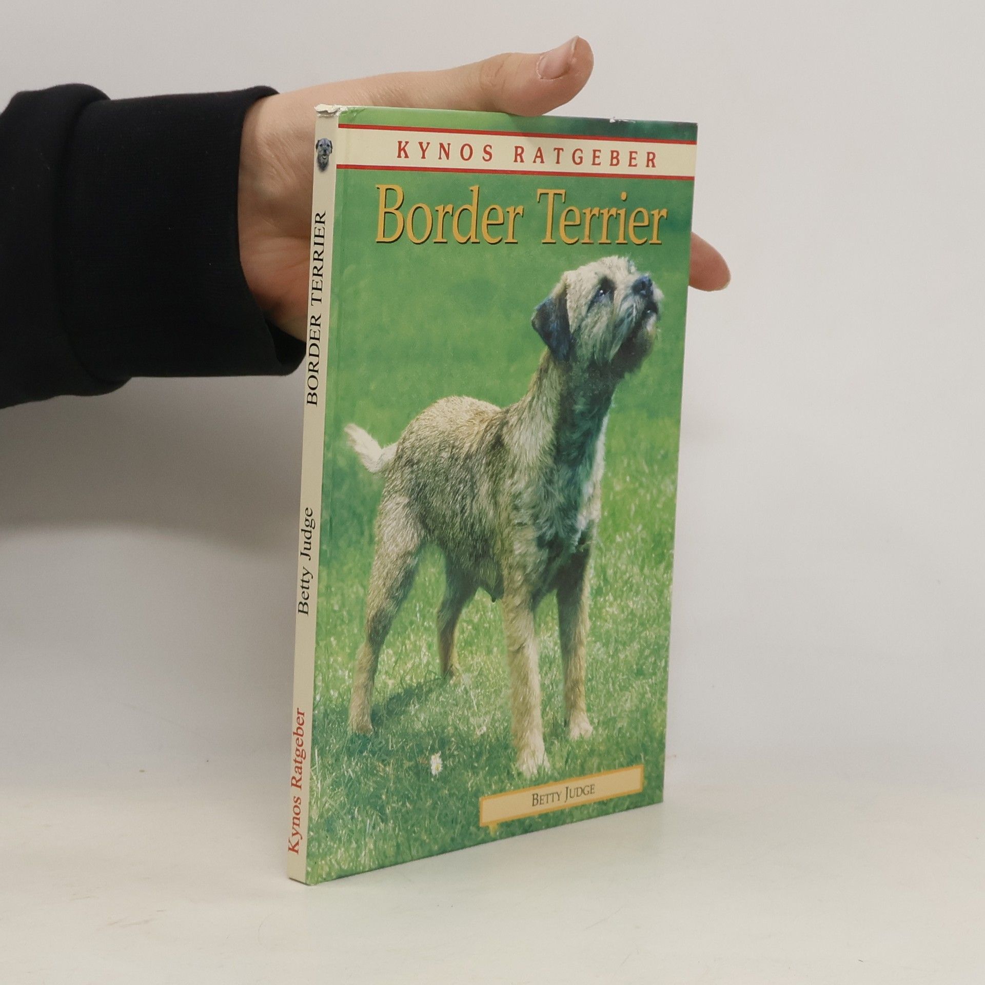 Border-Terrier