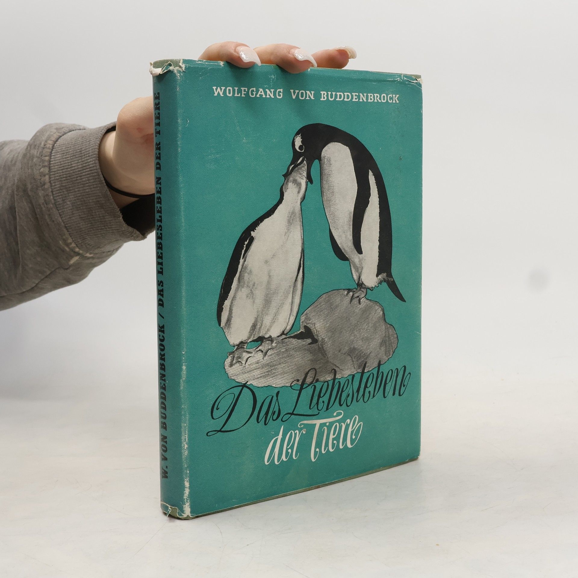 Wolfgang von Buddenbrock Das Liebesleben der Tiere