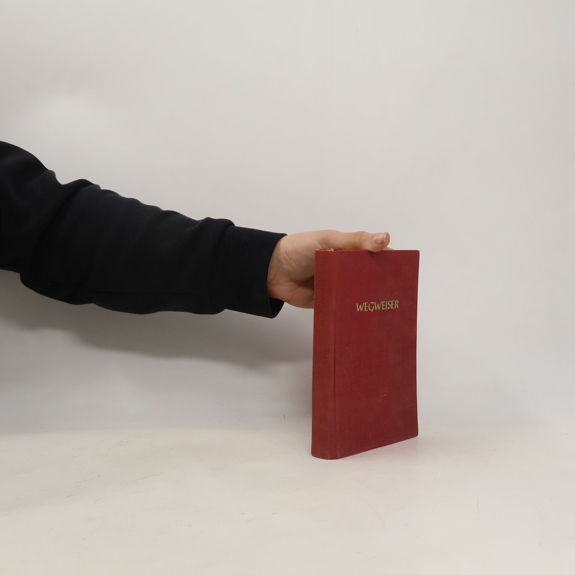 Various authors Wegweiser und Neu-Salems-Licht