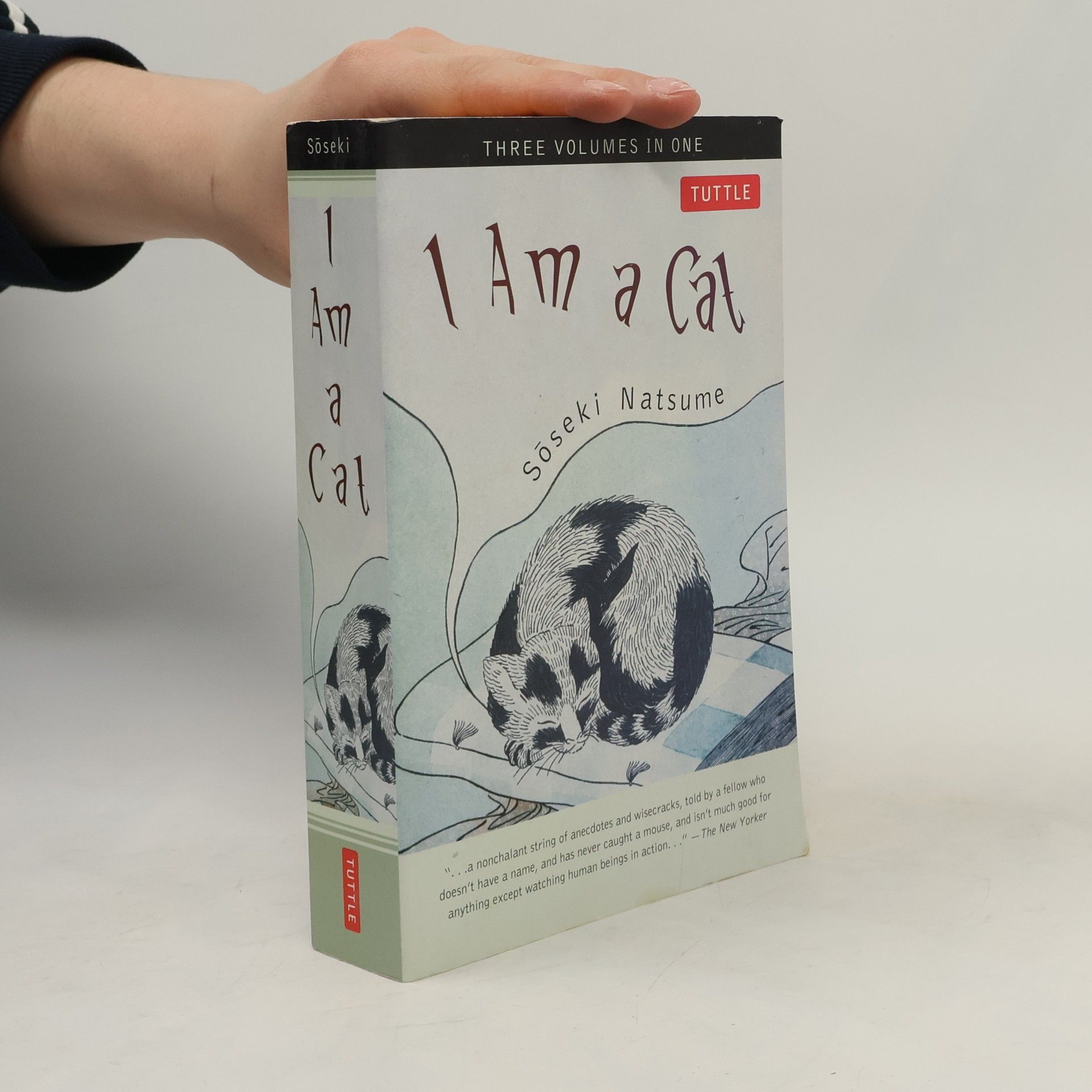 Natsume Sōseki I Am a Cat