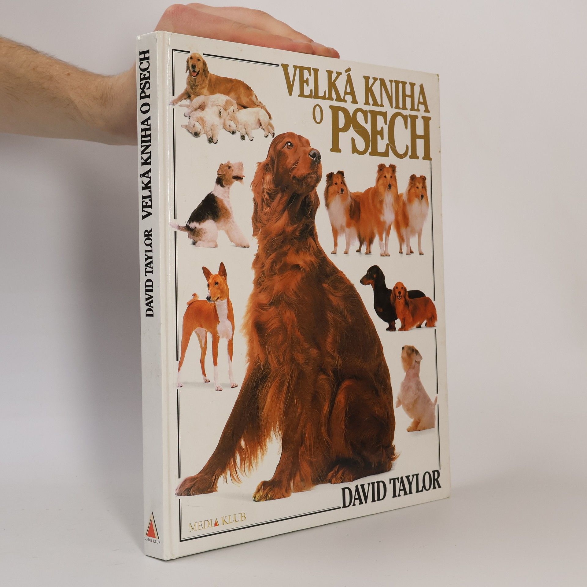 David Taylor Velká kniha o psech