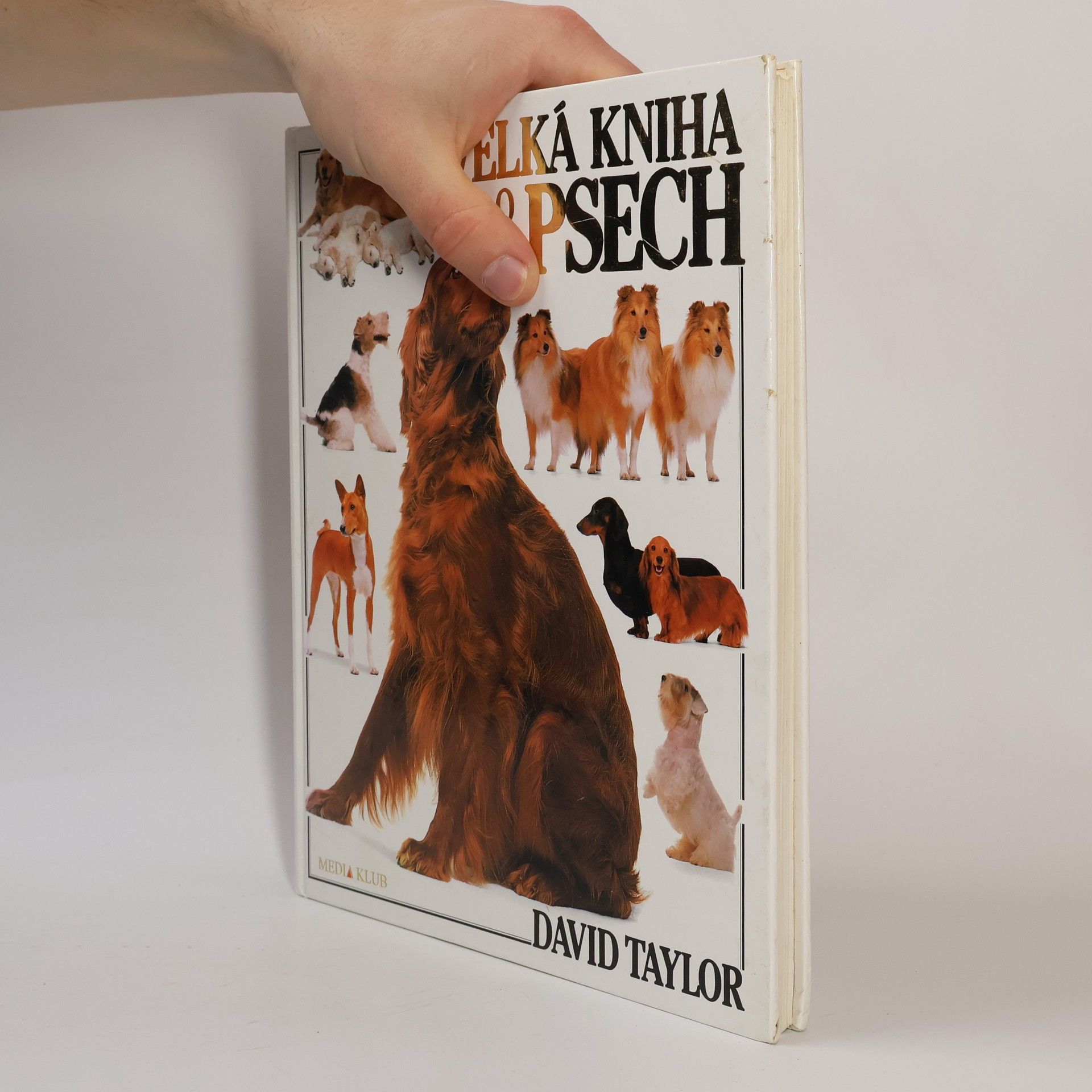 David Taylor Velká kniha o psech