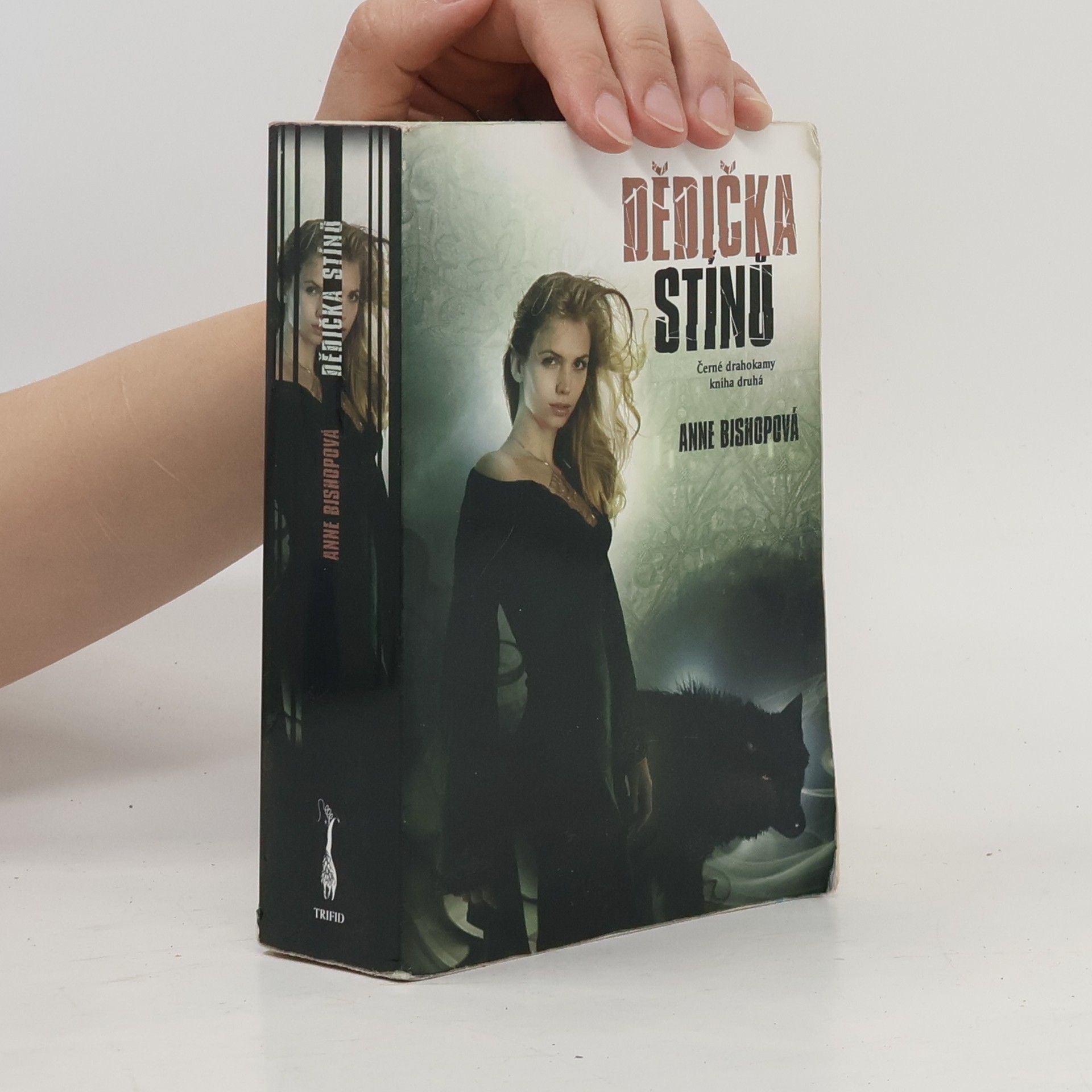 Anne Bishop Dědička stínů - Černé drahokamy (2. díl série)