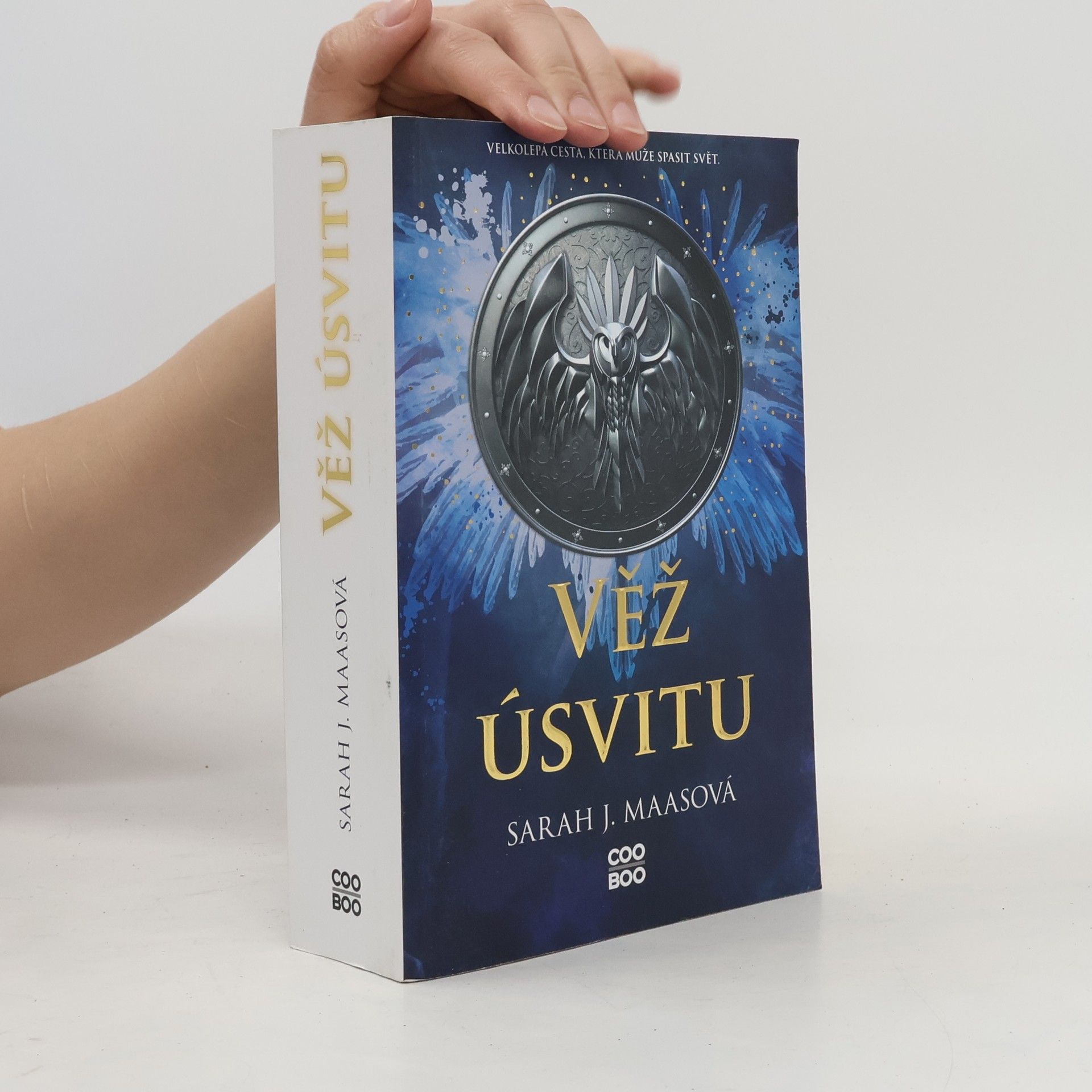 Sarah J. Maasová Věž úsvitu