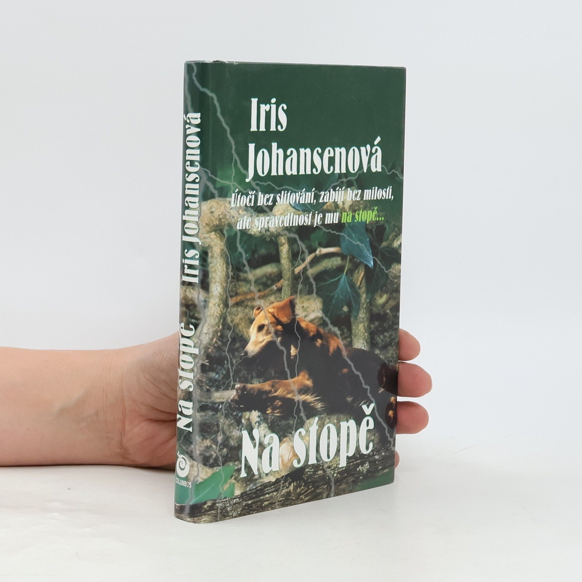 Iris Johansen Na stopě