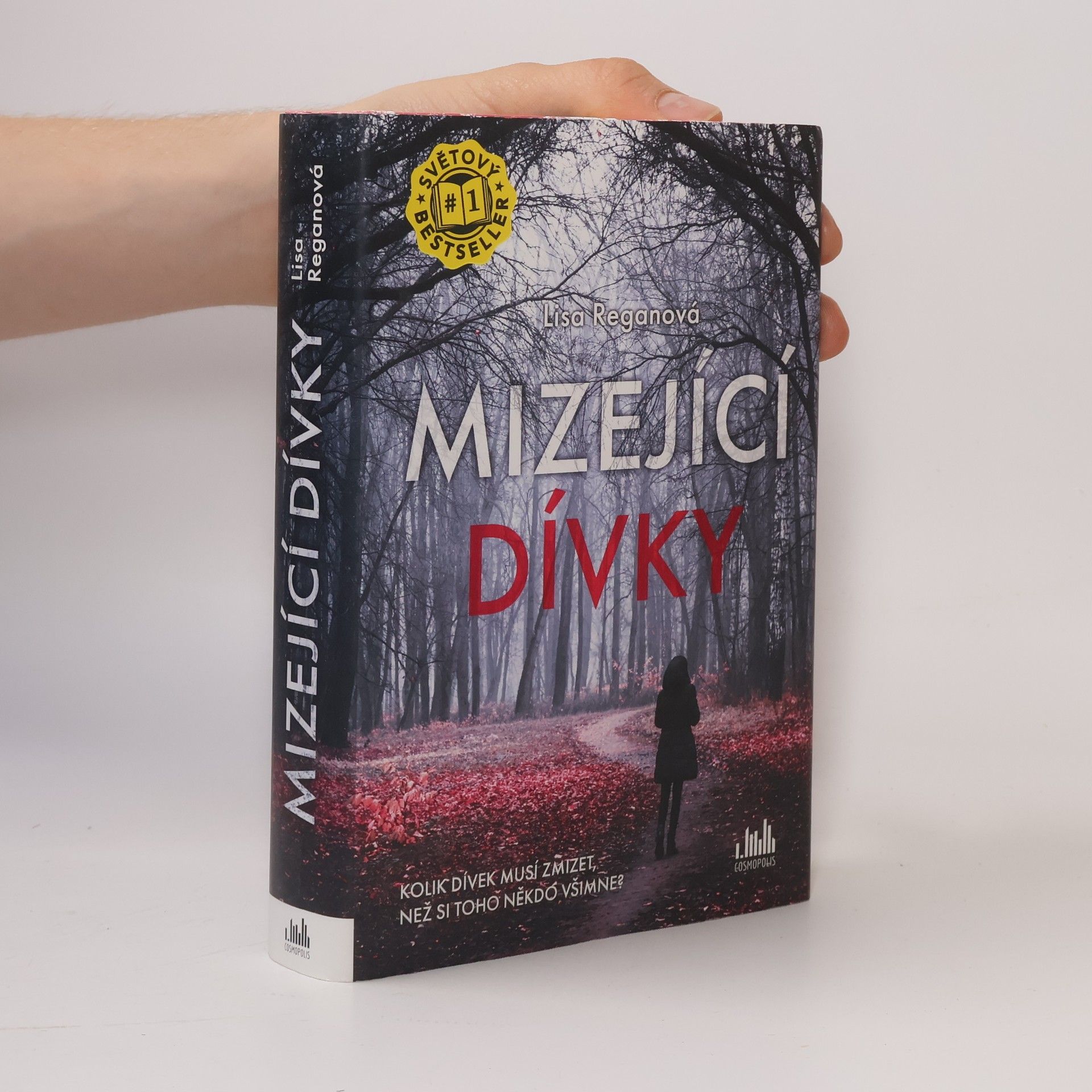 Lisa Regan Mizející dívky