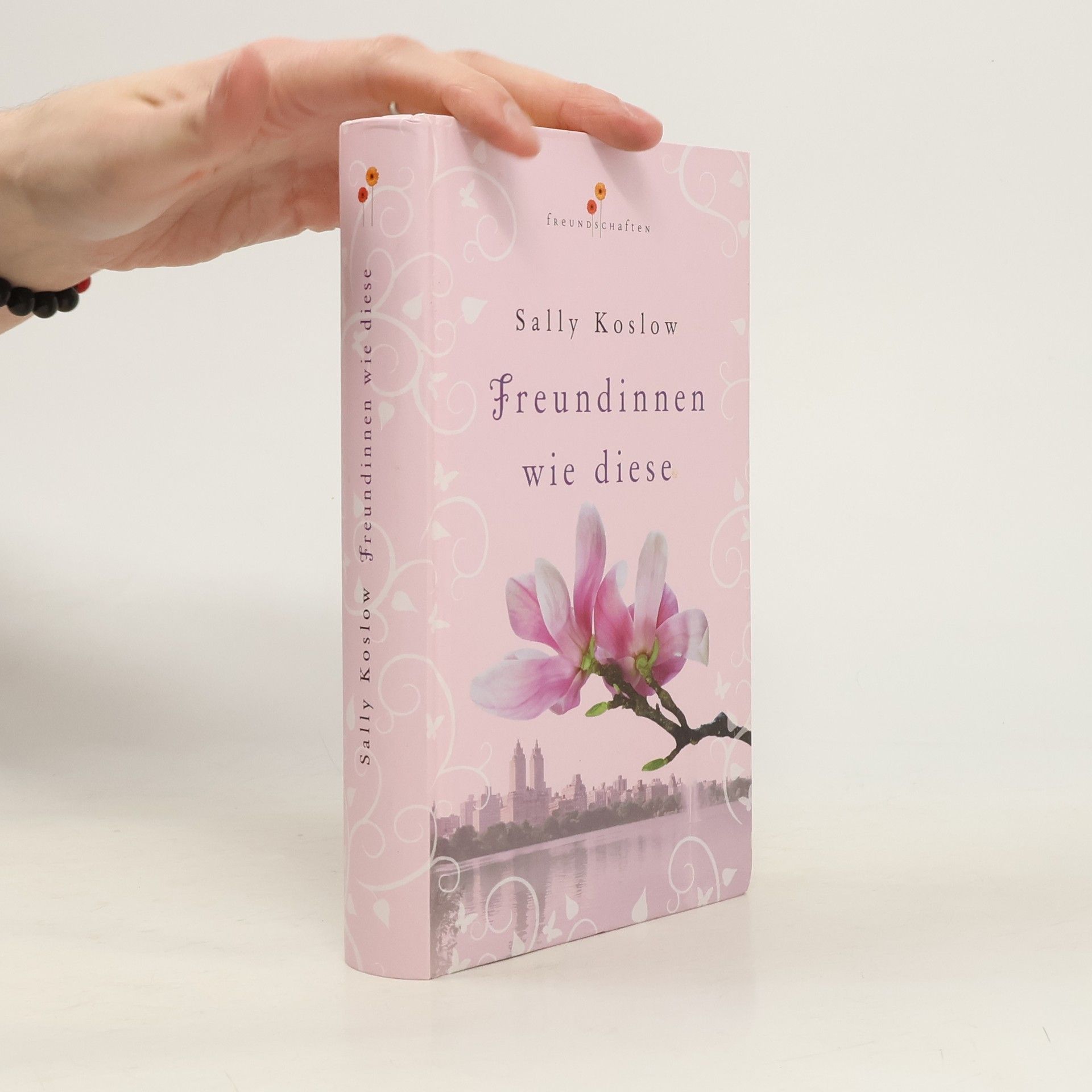 Sally Koslow Freundinnen wie diese