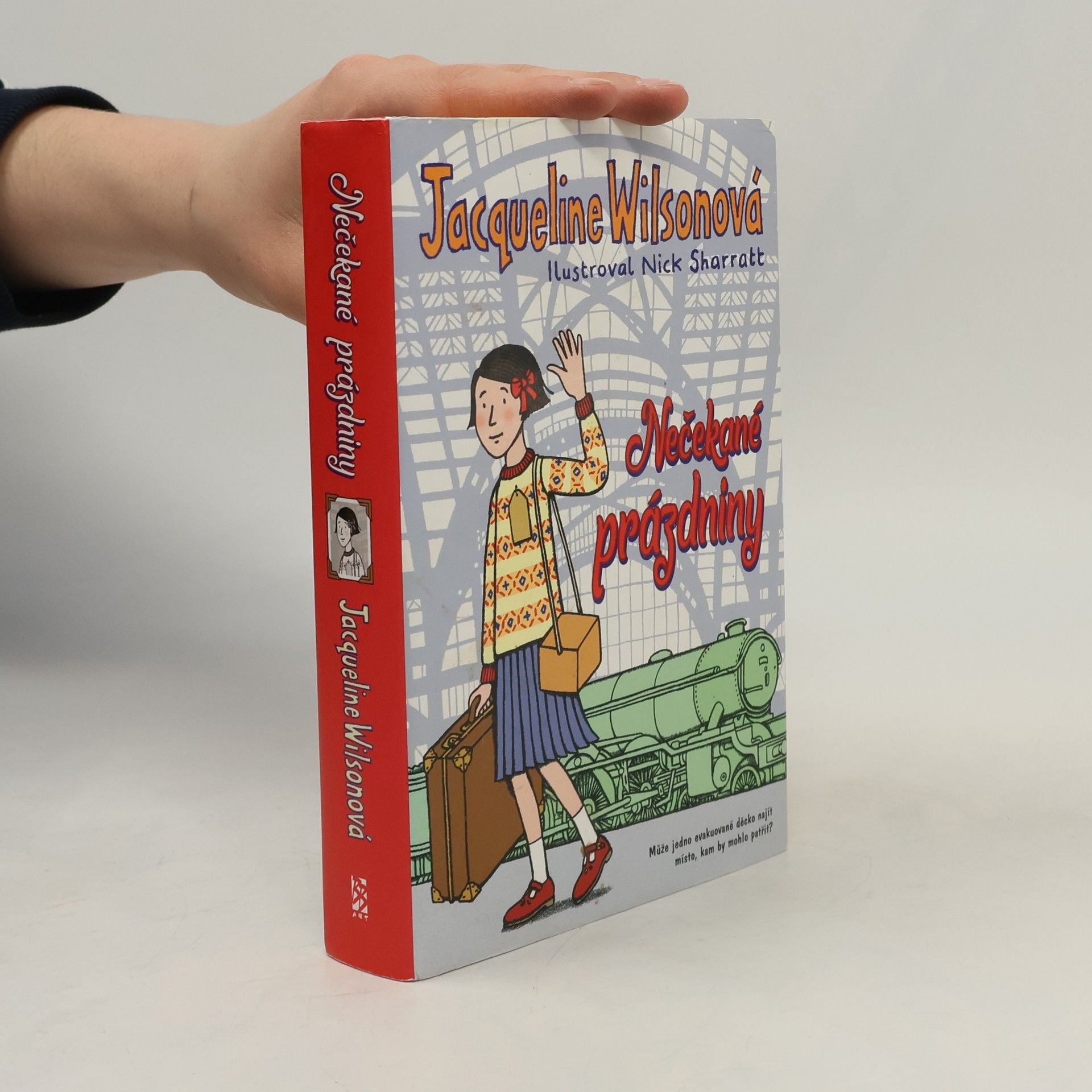 Jacqueline Wilson Nečekané prázdniny