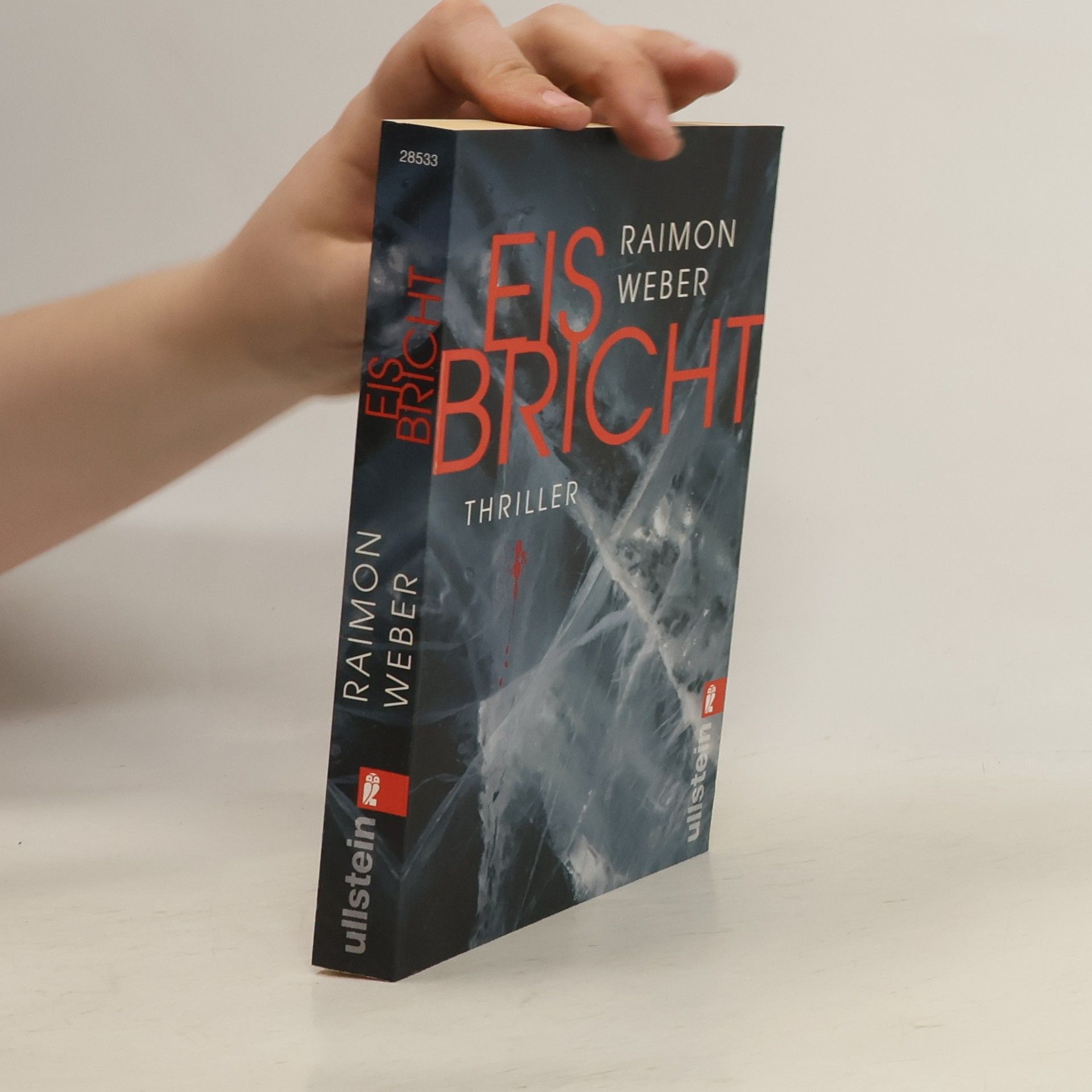 Raimon Weber Eis bricht