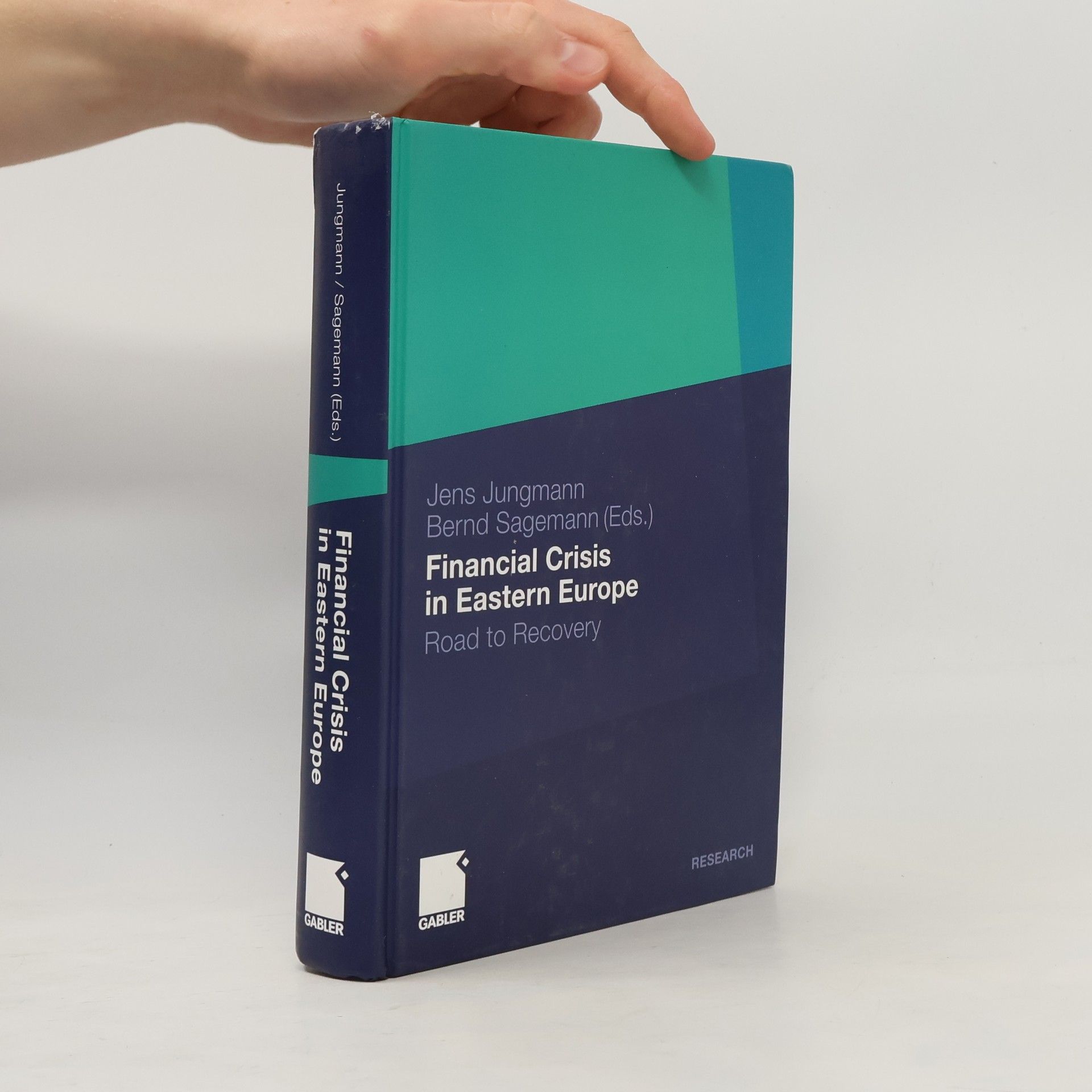 Jens Jungmann Financial Crisis in Eastern Europe