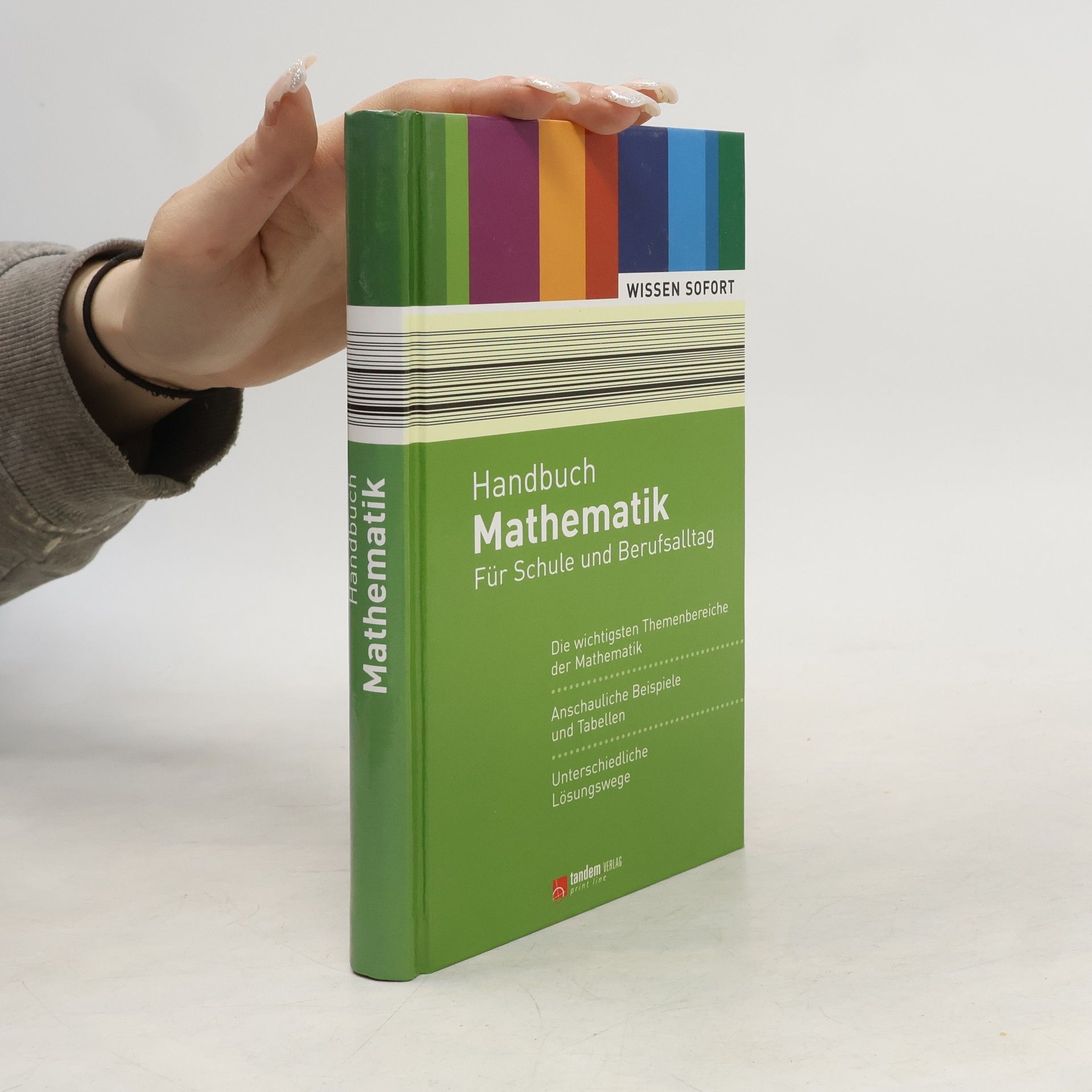 Collectif d'auteurs Handbuch Mathematik. Für Schule und Berufsalltag