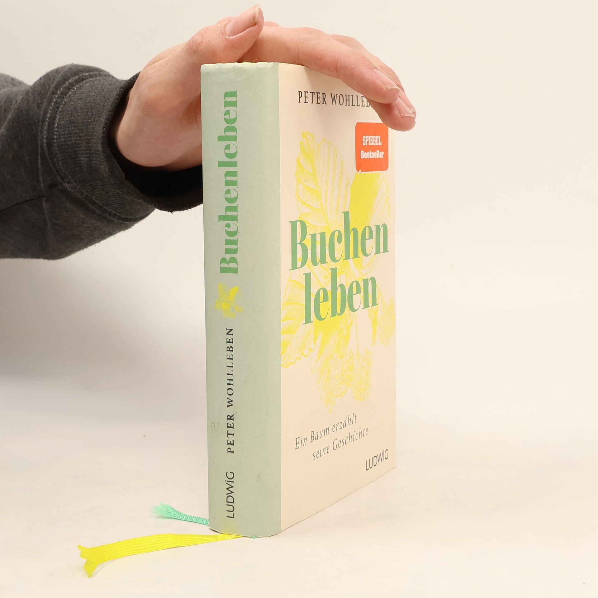 Peter Wohlleben Sonderedition: Buchenleben