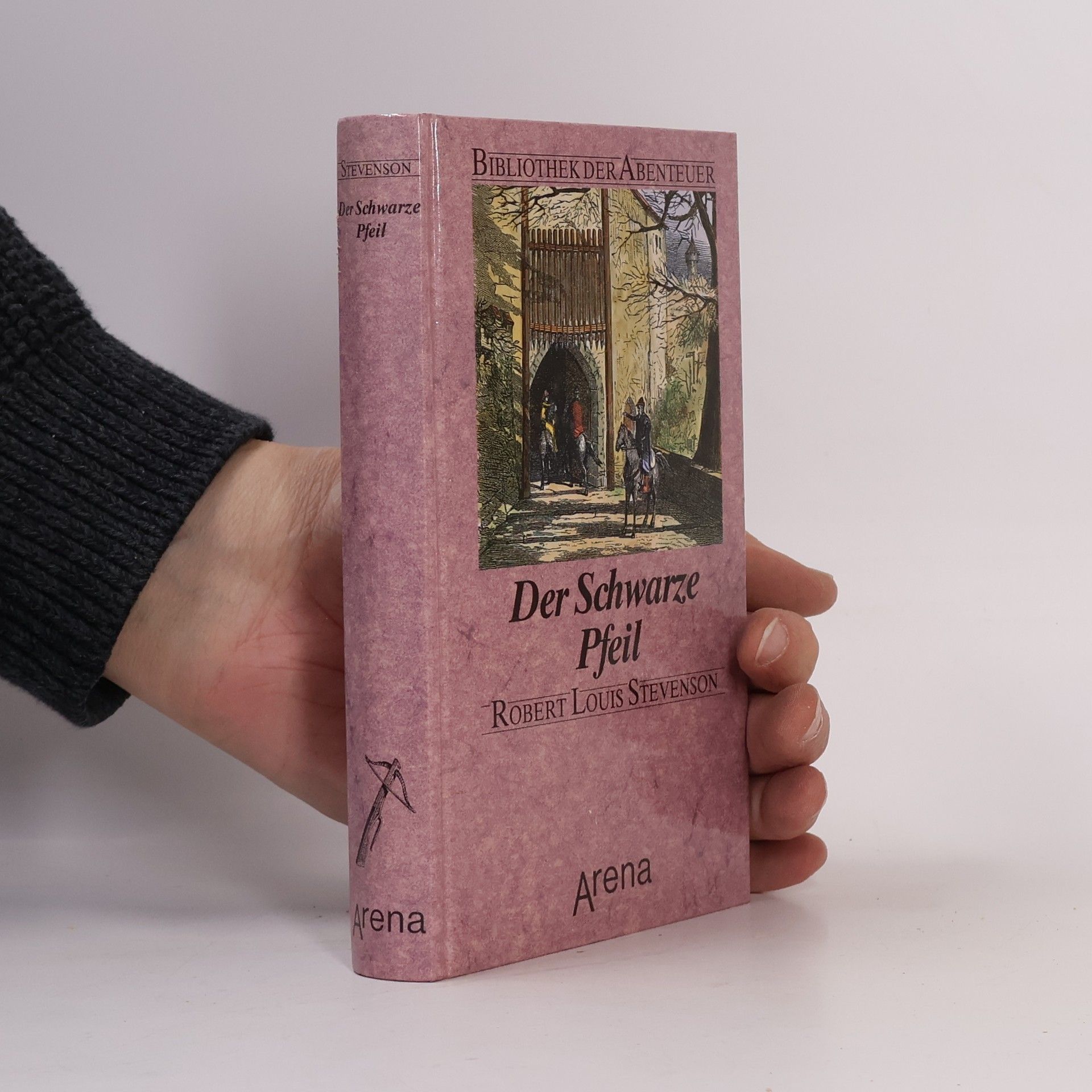 Robert Louis Stevenson Bibliothek der Abenteuer: Der Schwarze Pfeil