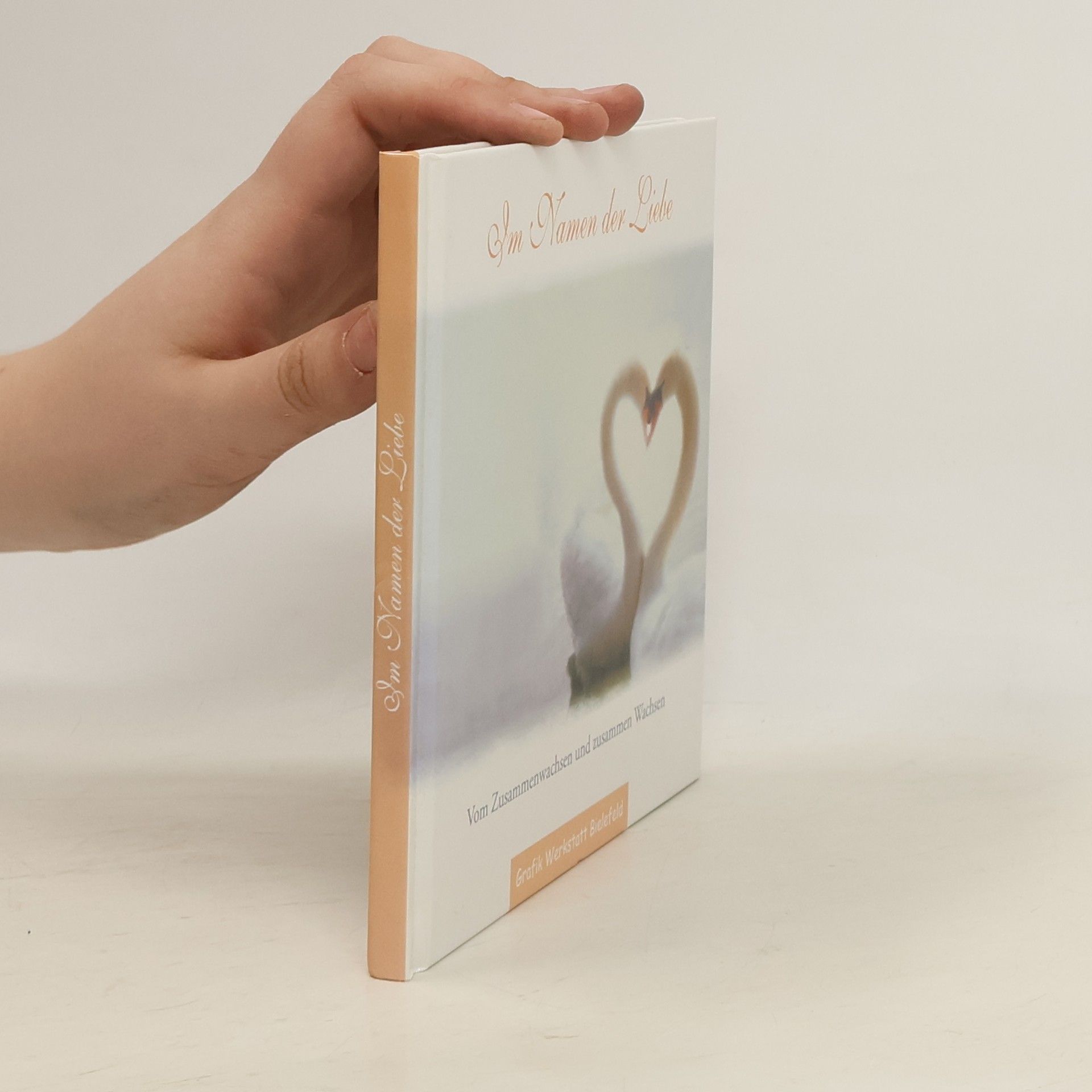 Jochen Mariss Im Namen der Liebe