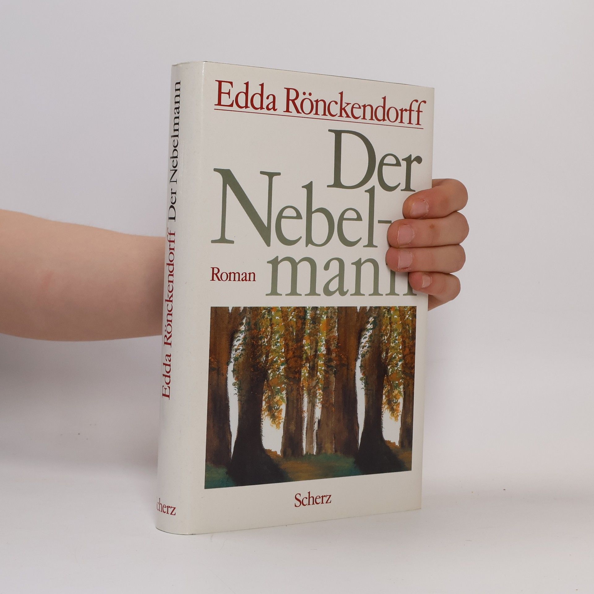 Edda Rönckendorff Der Nebelmann