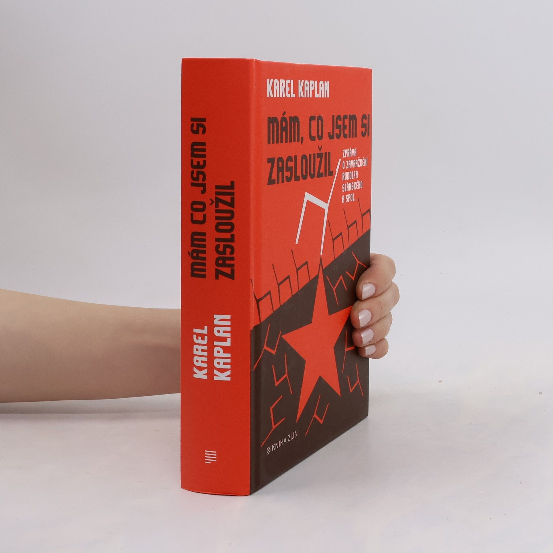 Mám, co jsem si zasloužil