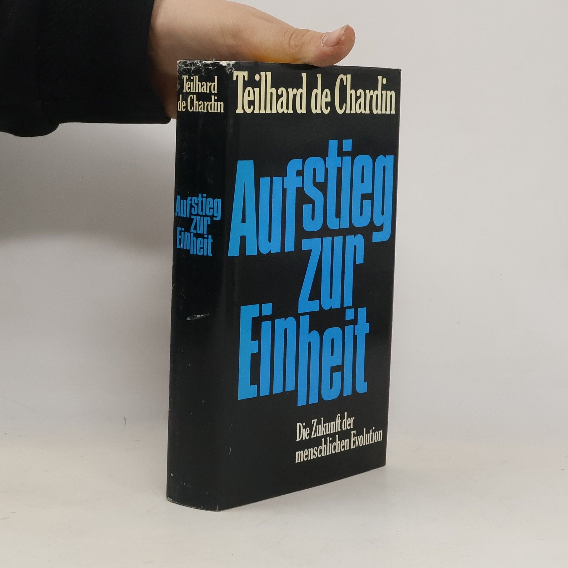 Aufstieg zur Einheit