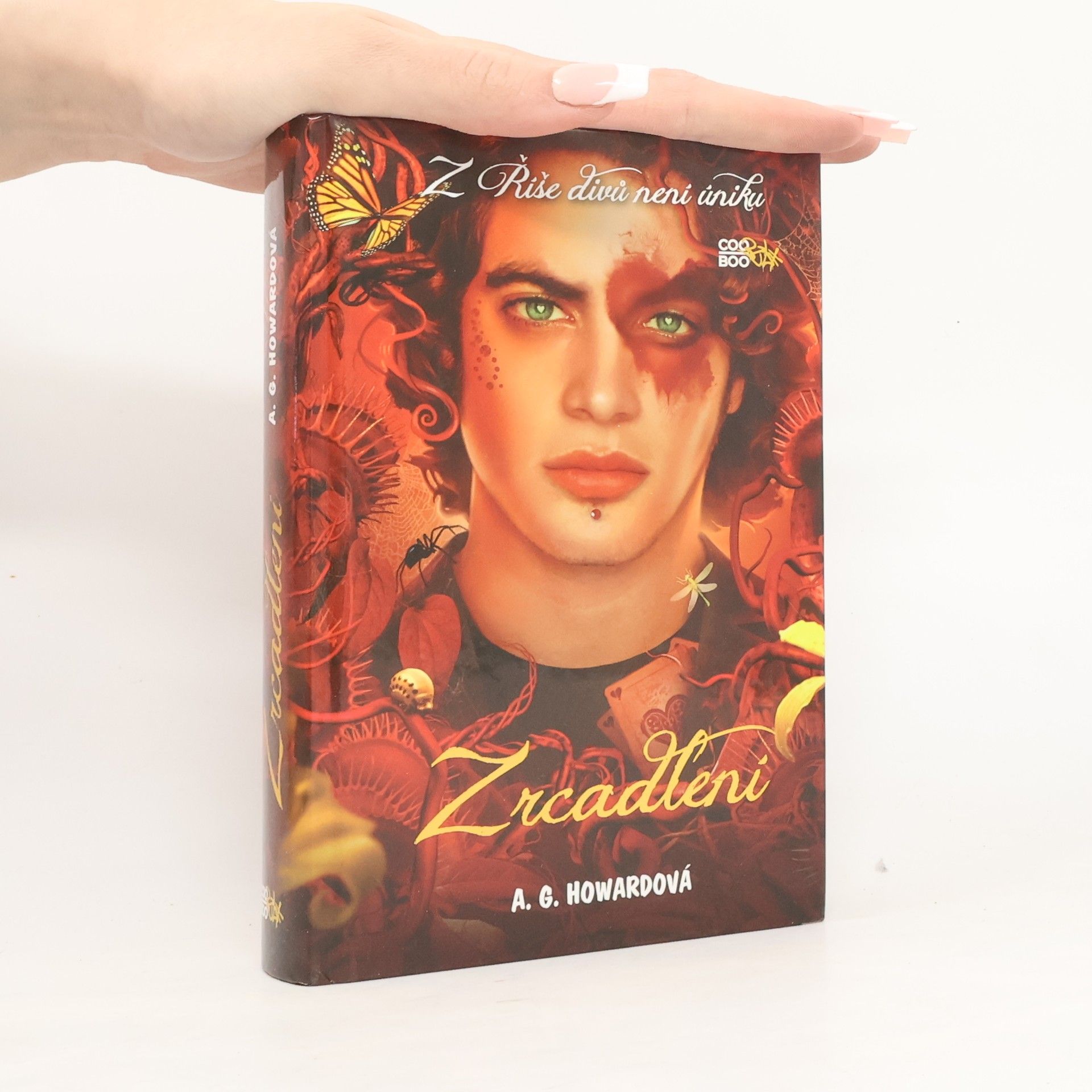 A. G. Howard Zrcadlení. 3. díl