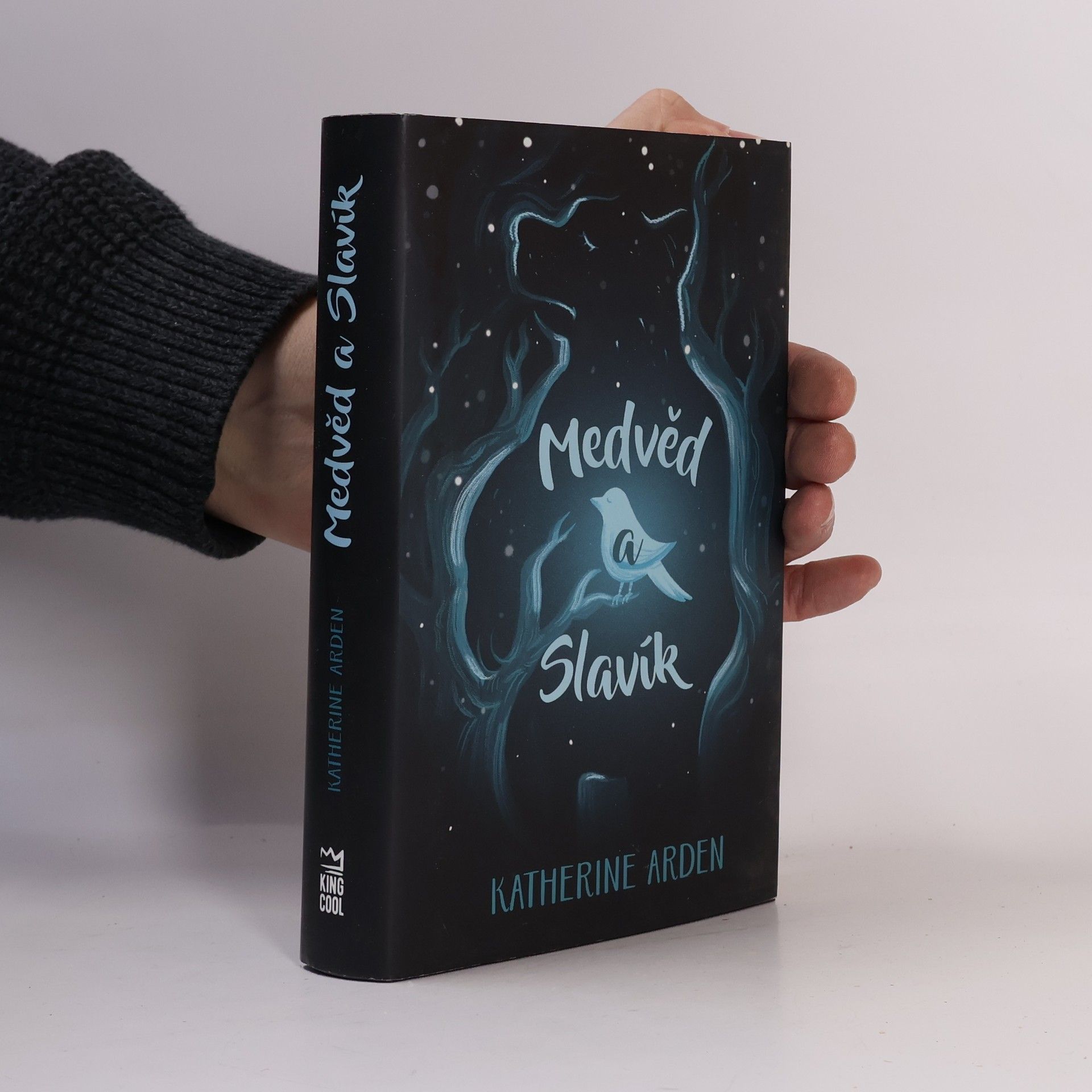 Katherine Arden Medvěd a Slavík