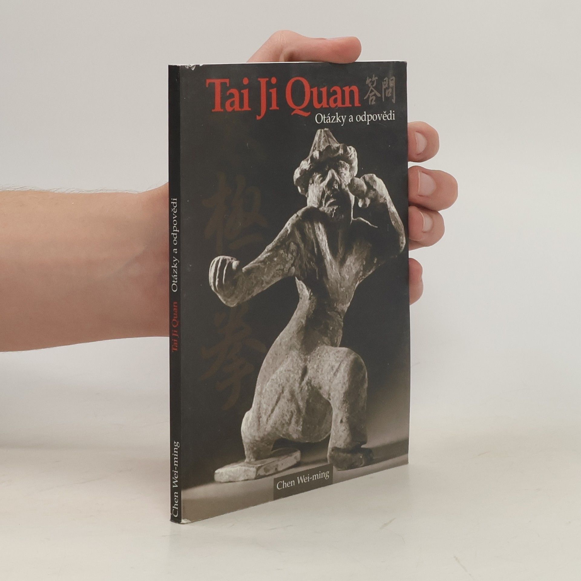 Wei ming Chen Tai Ji Quan. Otázky a odpovědi