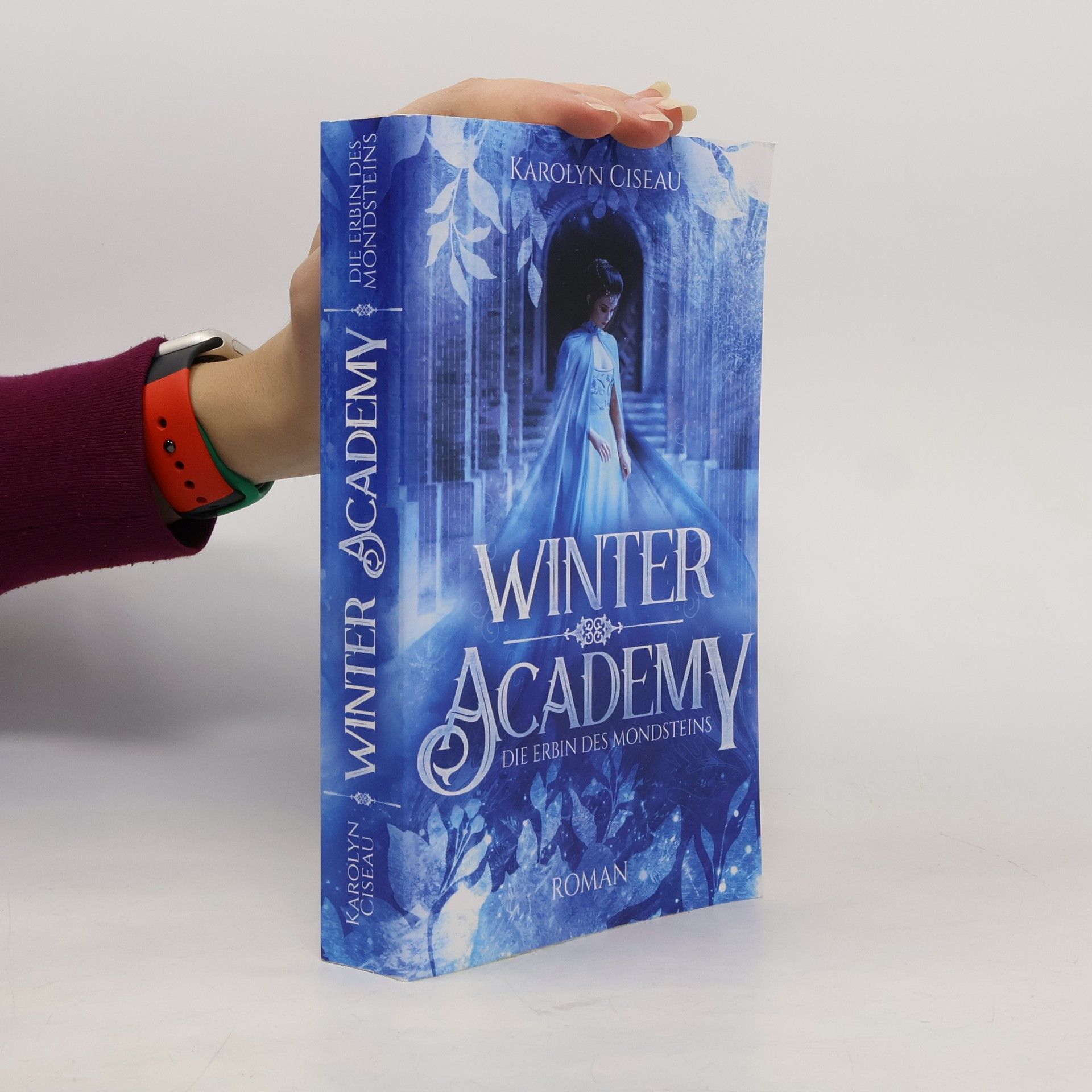 Karolyn Ciseau Winter Academy. Die Erbin des Mondsteins