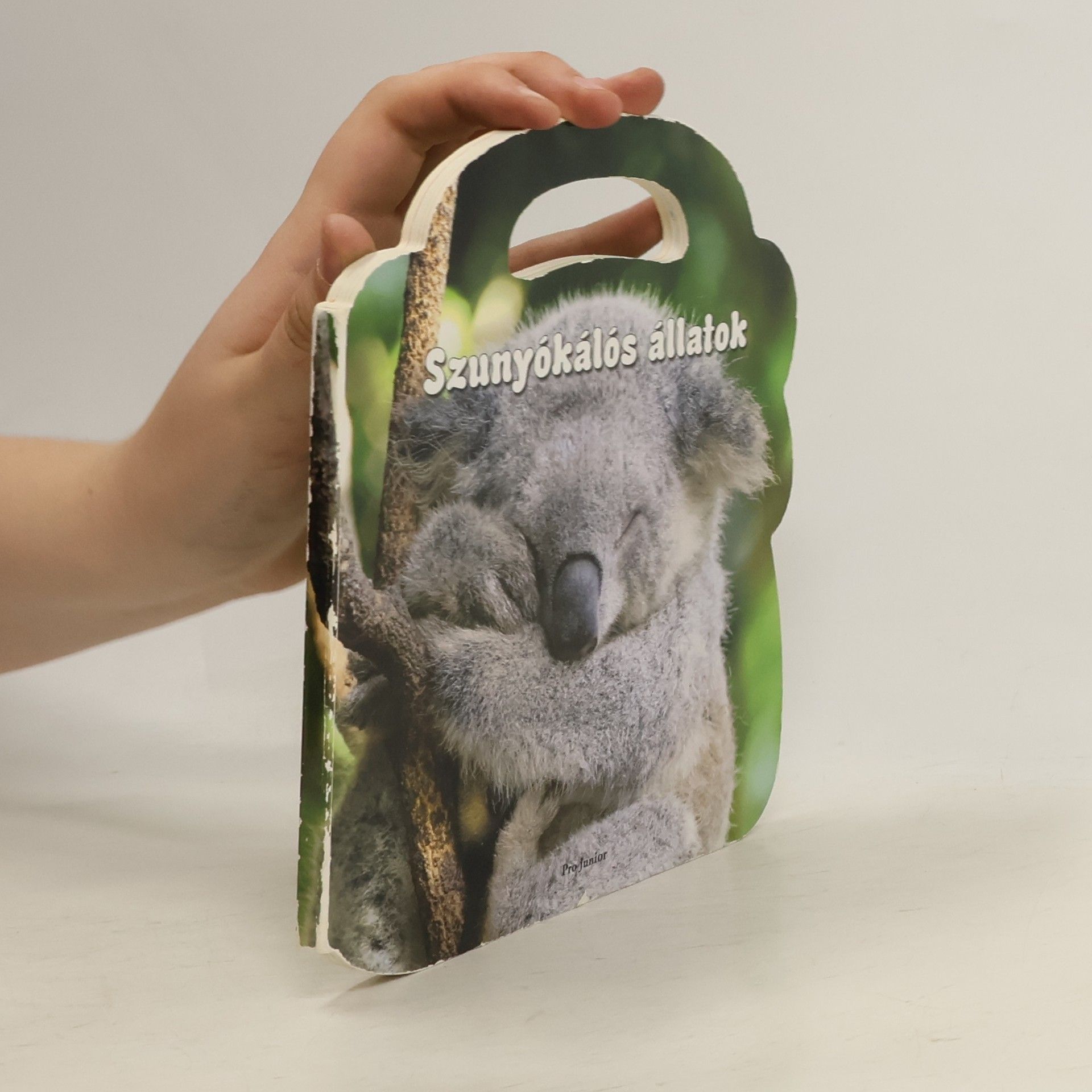 Various authors Szunyókálós állatok