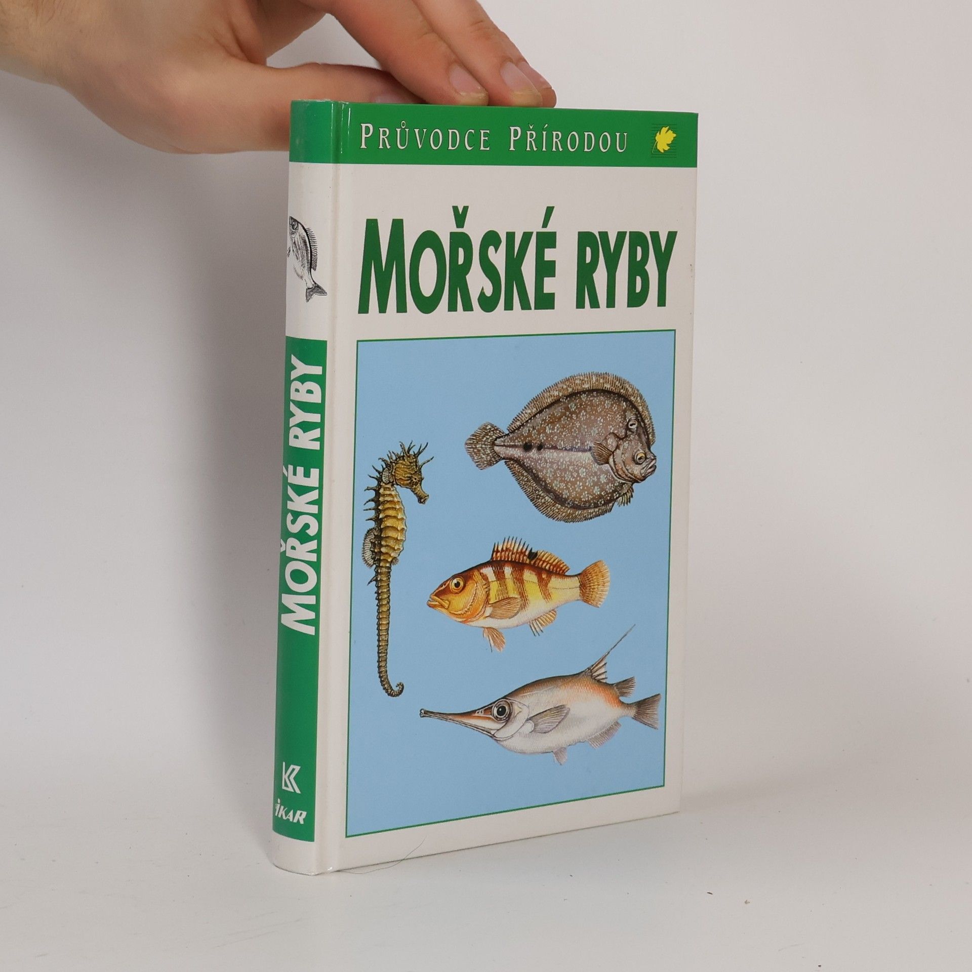 Friedhelm Sauer Mořské ryby v evropských vodách