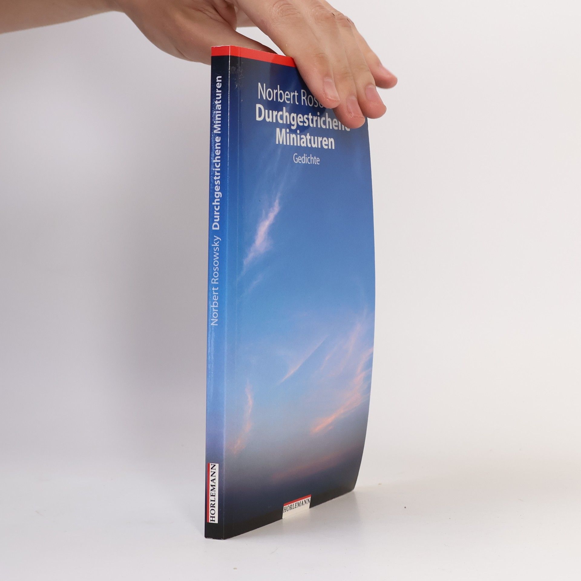 Norbert Rosowsky Durchgestrichene Miniaturen
