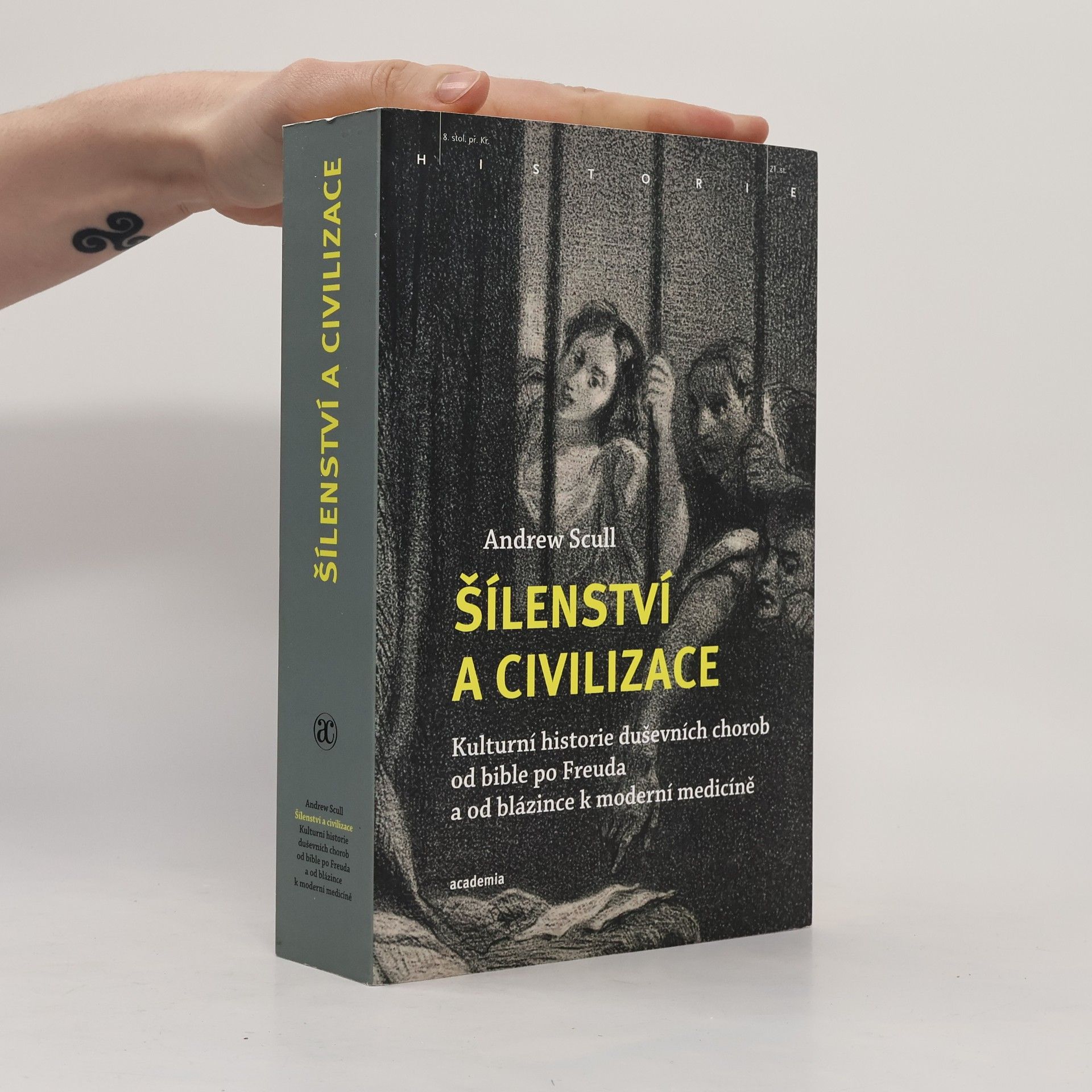 Andrew Scull Šílenství a civilizace