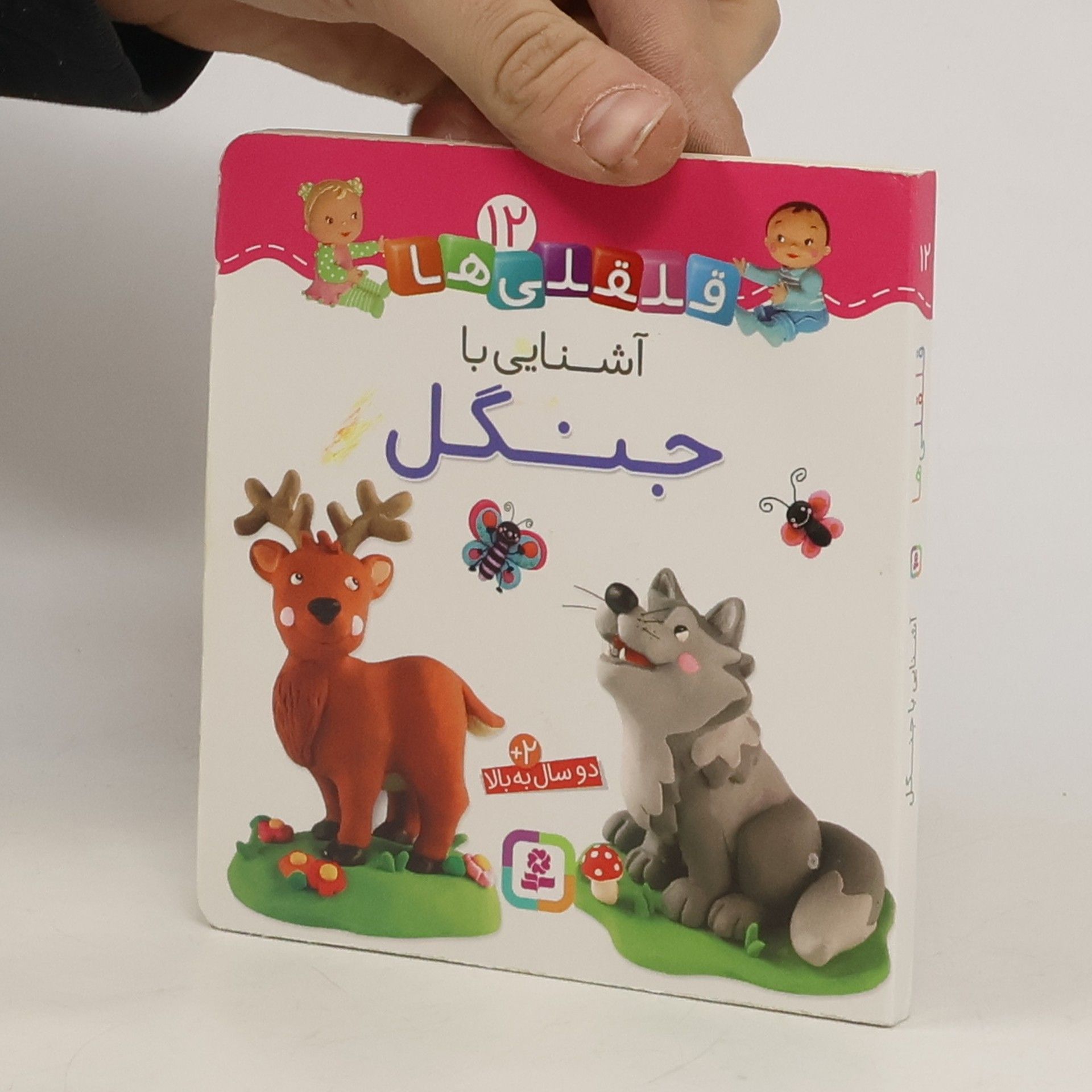 کتاب قلقلی ها 12 آشنایی با جنگل اثر امیلی بومون