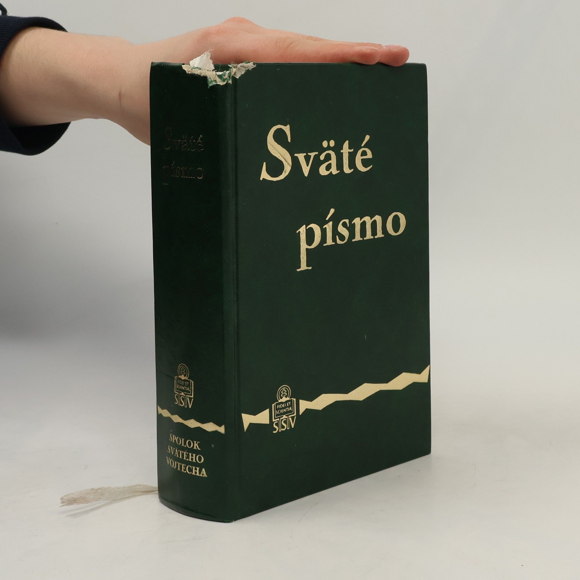 Autorenkollektiv Sväté písmo Starého i Nového zákona