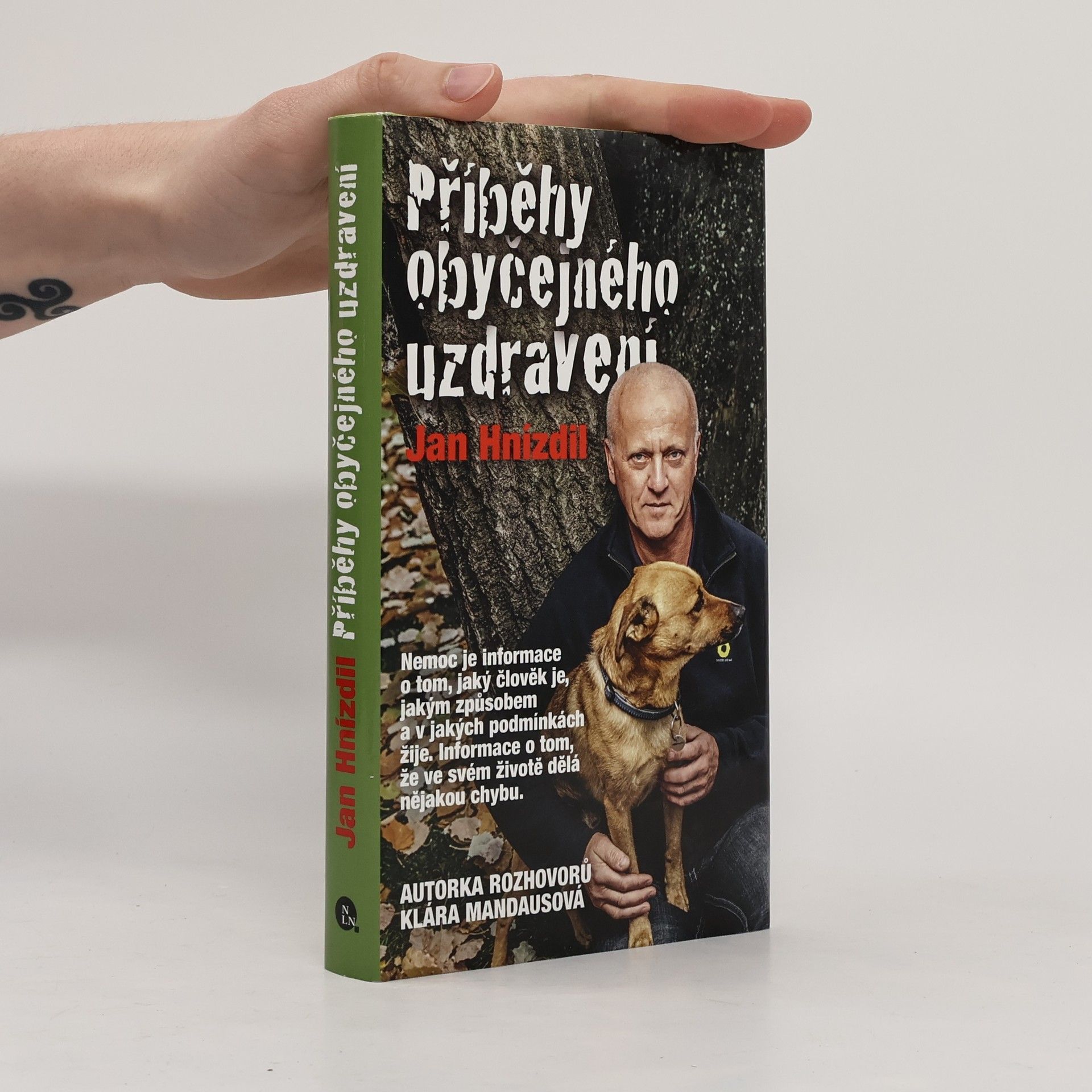 Příběhy obyčejného uzdravení