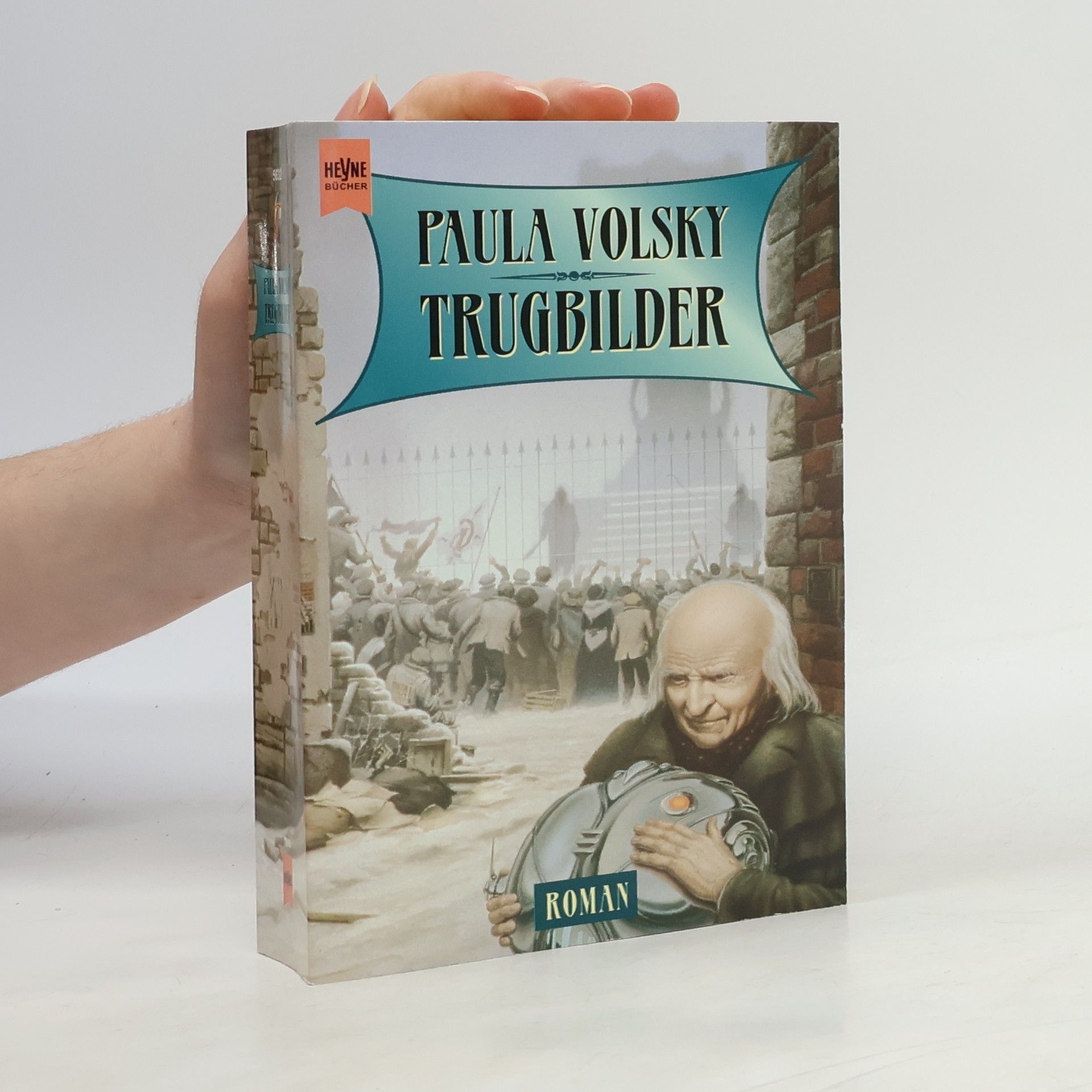 Paula Volsky Trugbilder