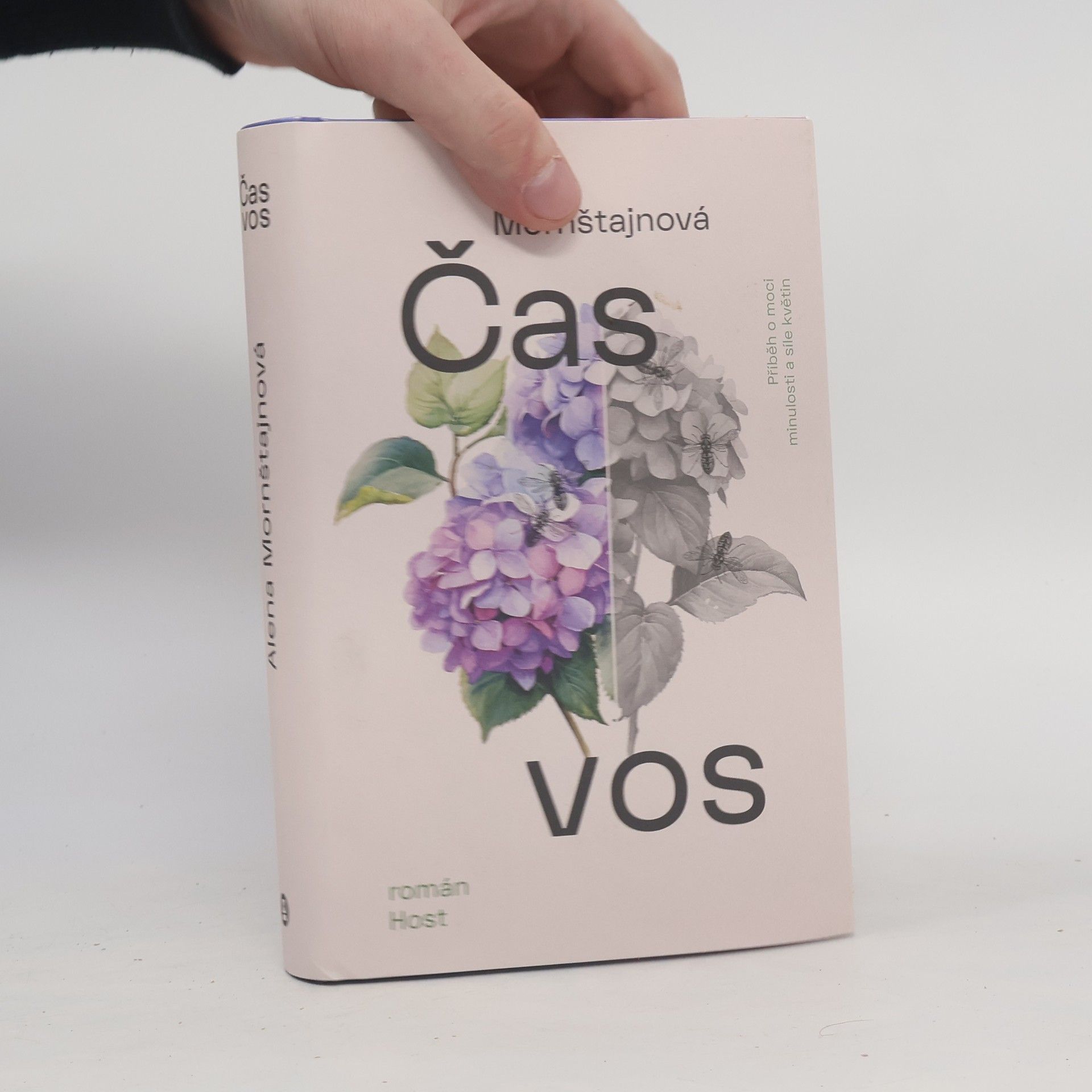 Alena Mornštajnová Čas vos